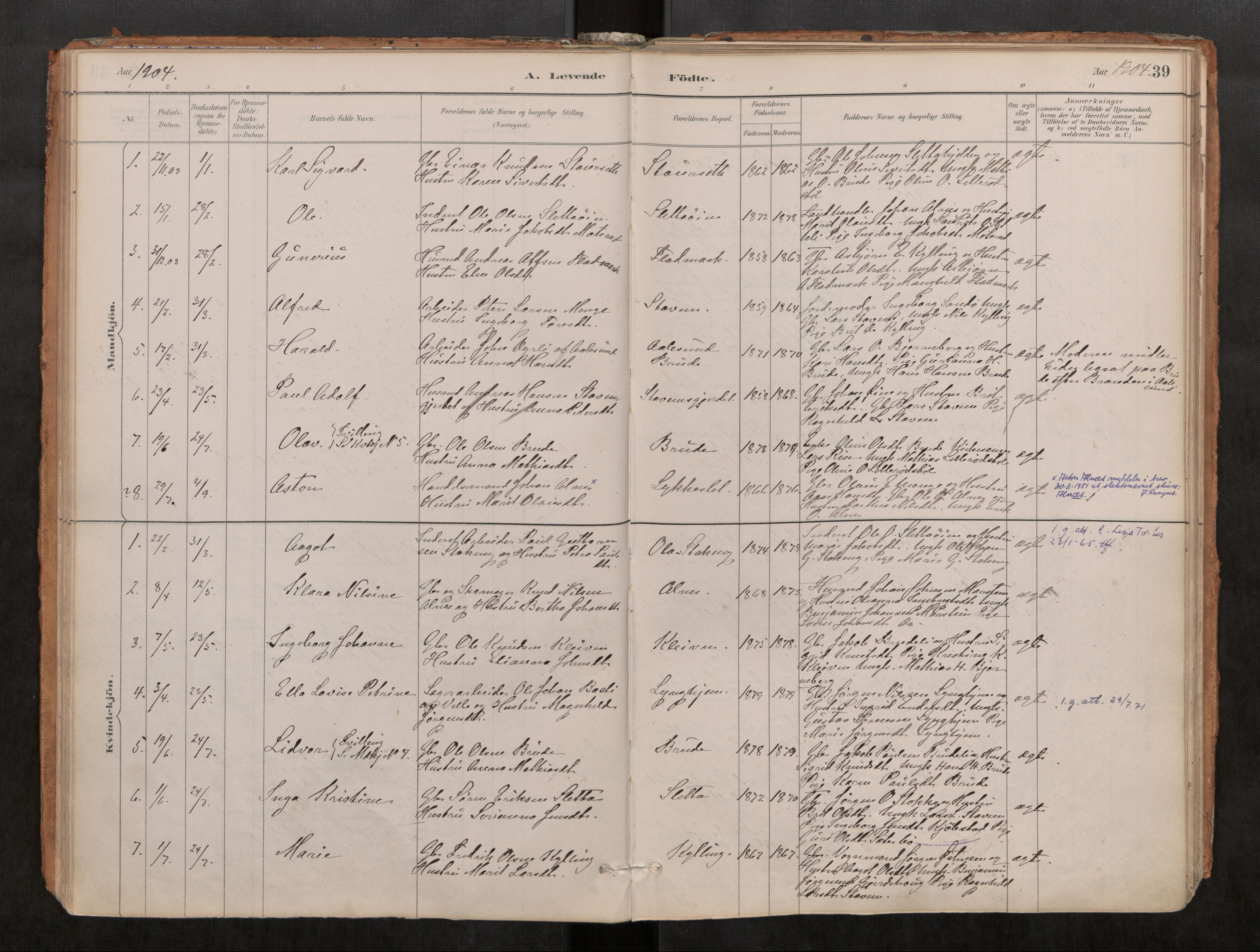 Ministerialprotokoller, klokkerbøker og fødselsregistre - Møre og Romsdal, SAT/A-1454/546/L0599: Parish register (official) no. 546A03, 1882-1920, p. 39
