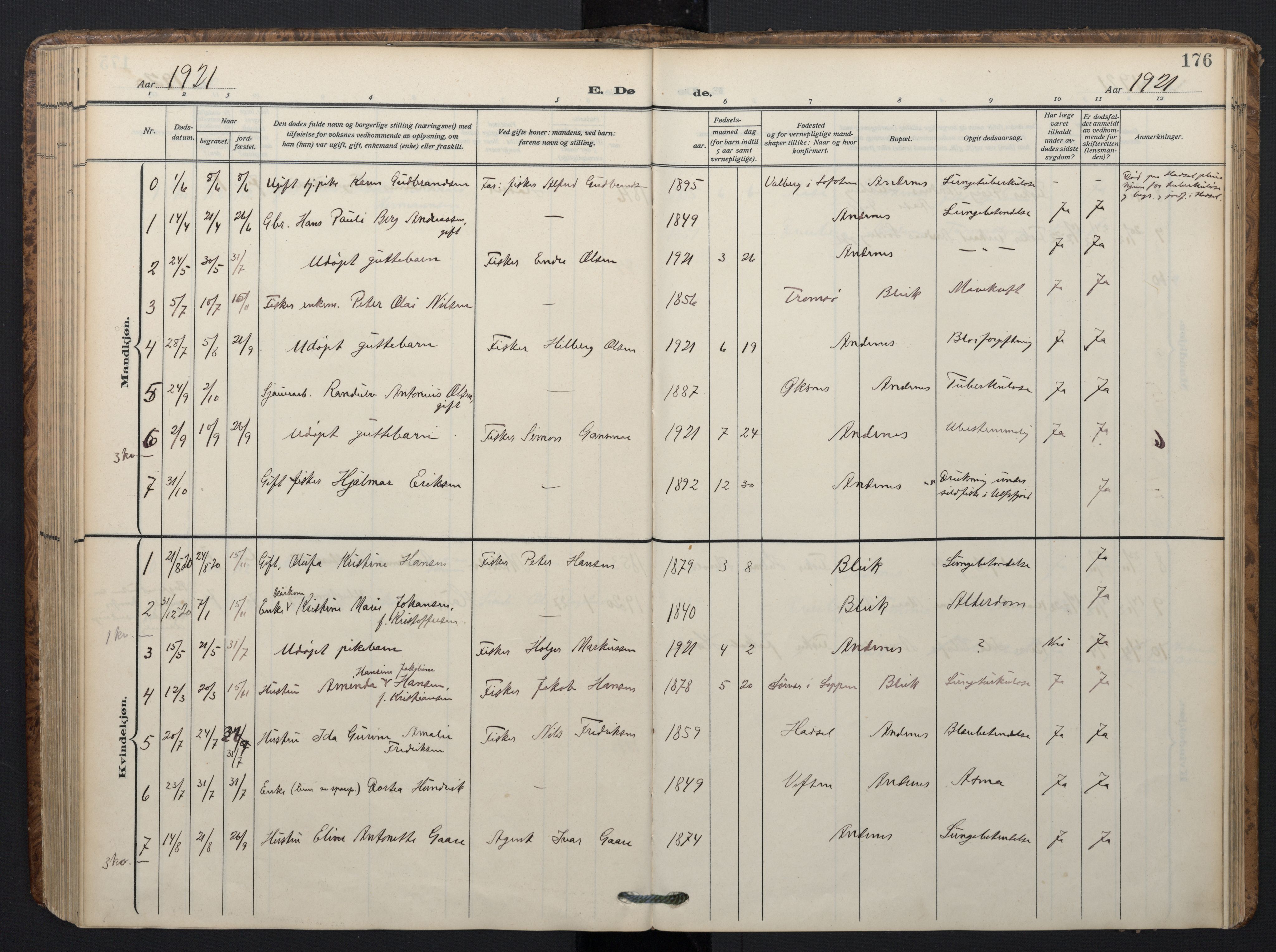 Ministerialprotokoller, klokkerbøker og fødselsregistre - Nordland, AV/SAT-A-1459/899/L1438: Parish register (official) no. 899A06, 1909-1922, p. 176