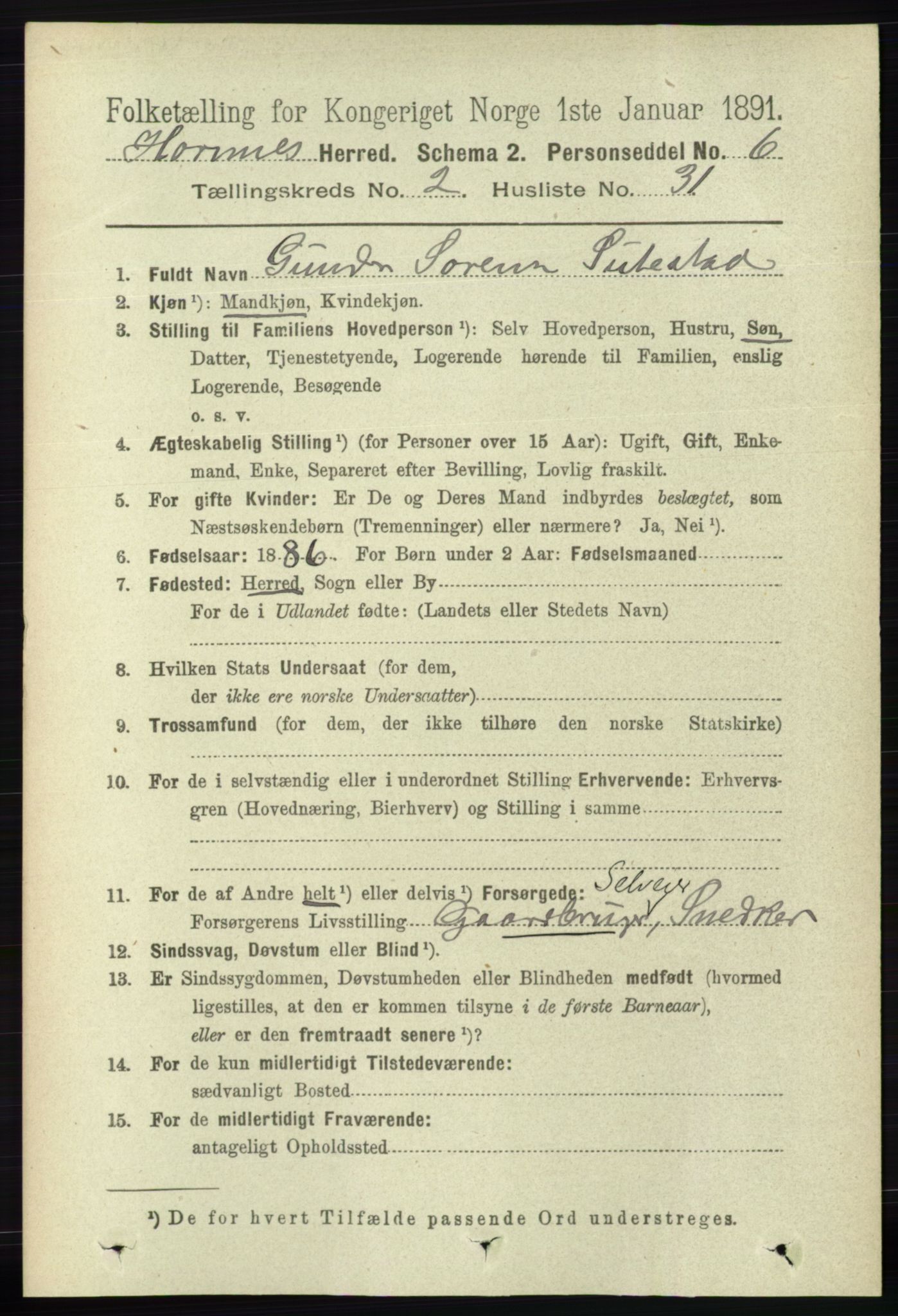 RA, 1891 census for 0936 Hornnes, 1891, p. 401