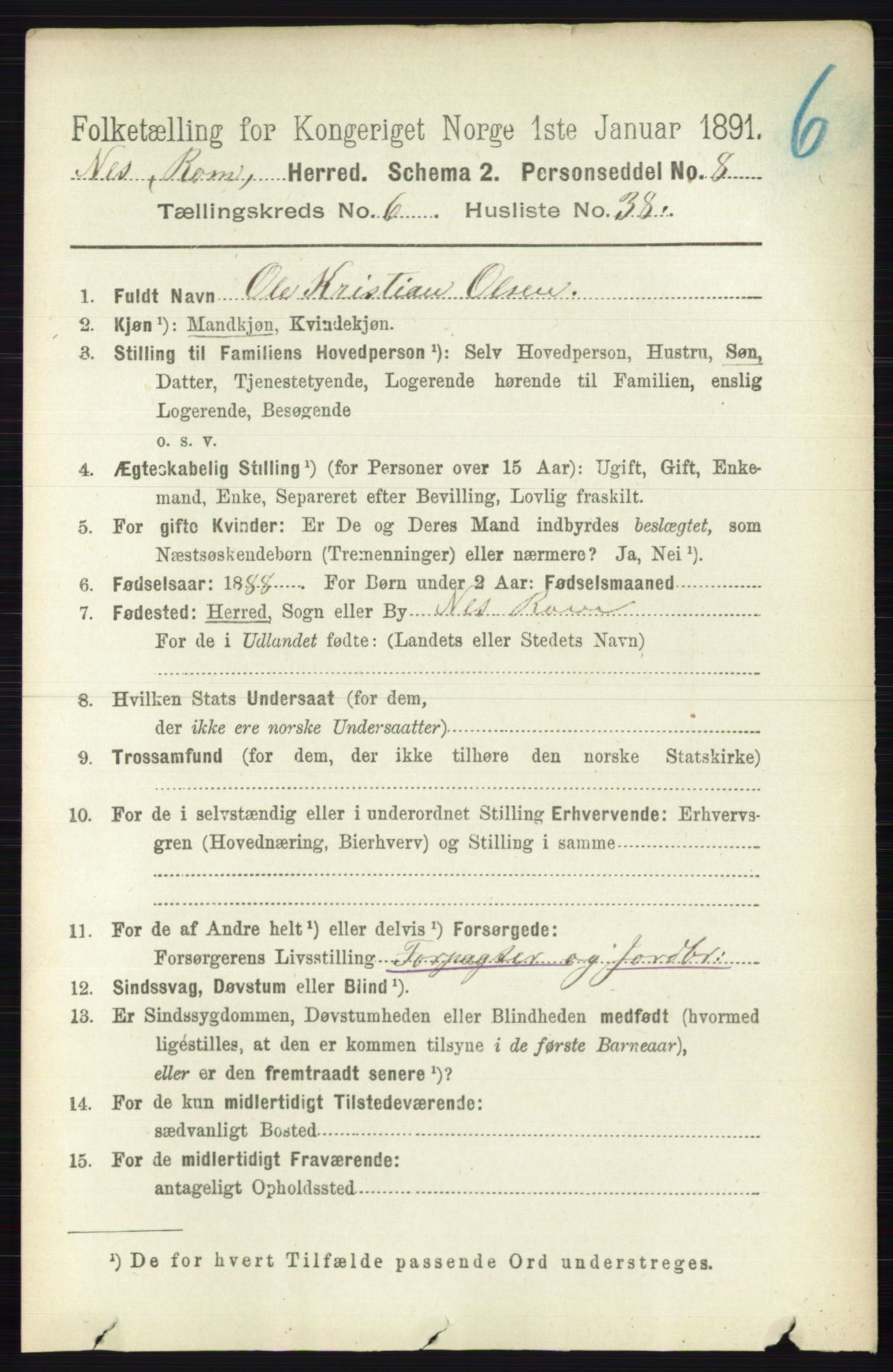 RA, 1891 census for 0236 Nes, 1891, p. 3593