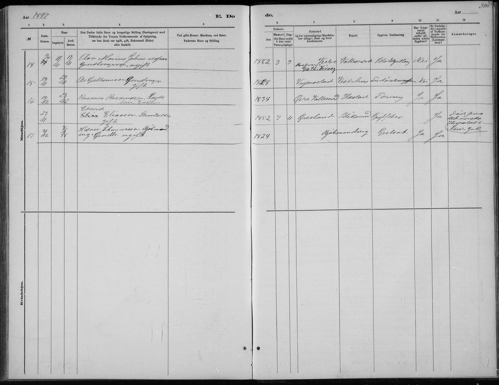 Høvåg sokneprestkontor, SAK/1111-0025/F/Fb/L0004: Parish register (copy) no. B 4, 1883-1898, p. 300