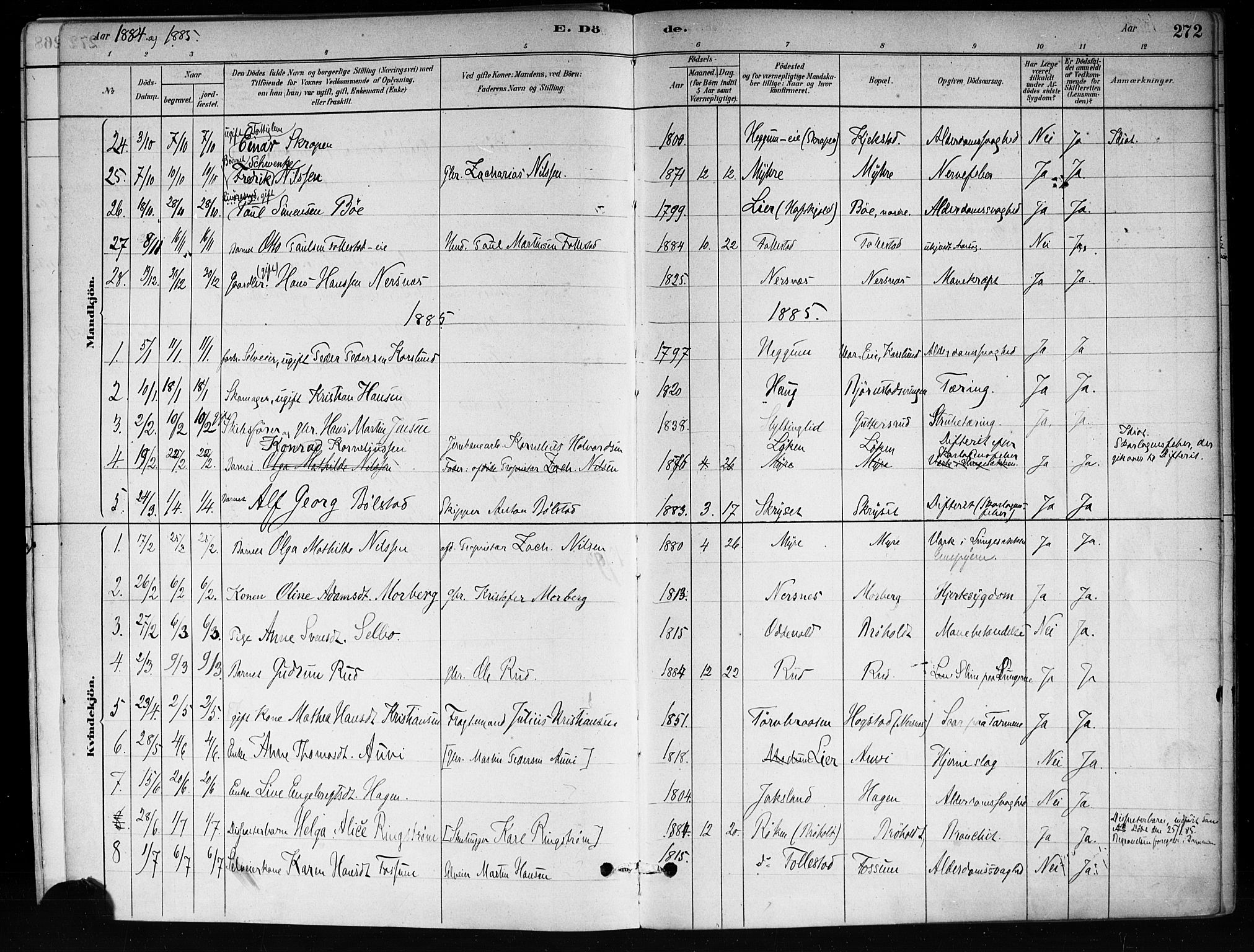 Røyken kirkebøker, SAKO/A-241/F/Fa/L0008: Parish register (official) no. 8, 1880-1897, p. 272