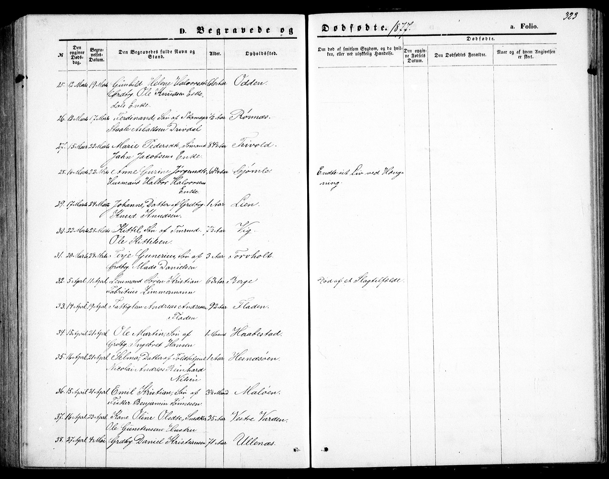 Fjære sokneprestkontor, AV/SAK-1111-0011/F/Fb/L0010: Parish register (copy) no. B 10, 1871-1880, p. 323