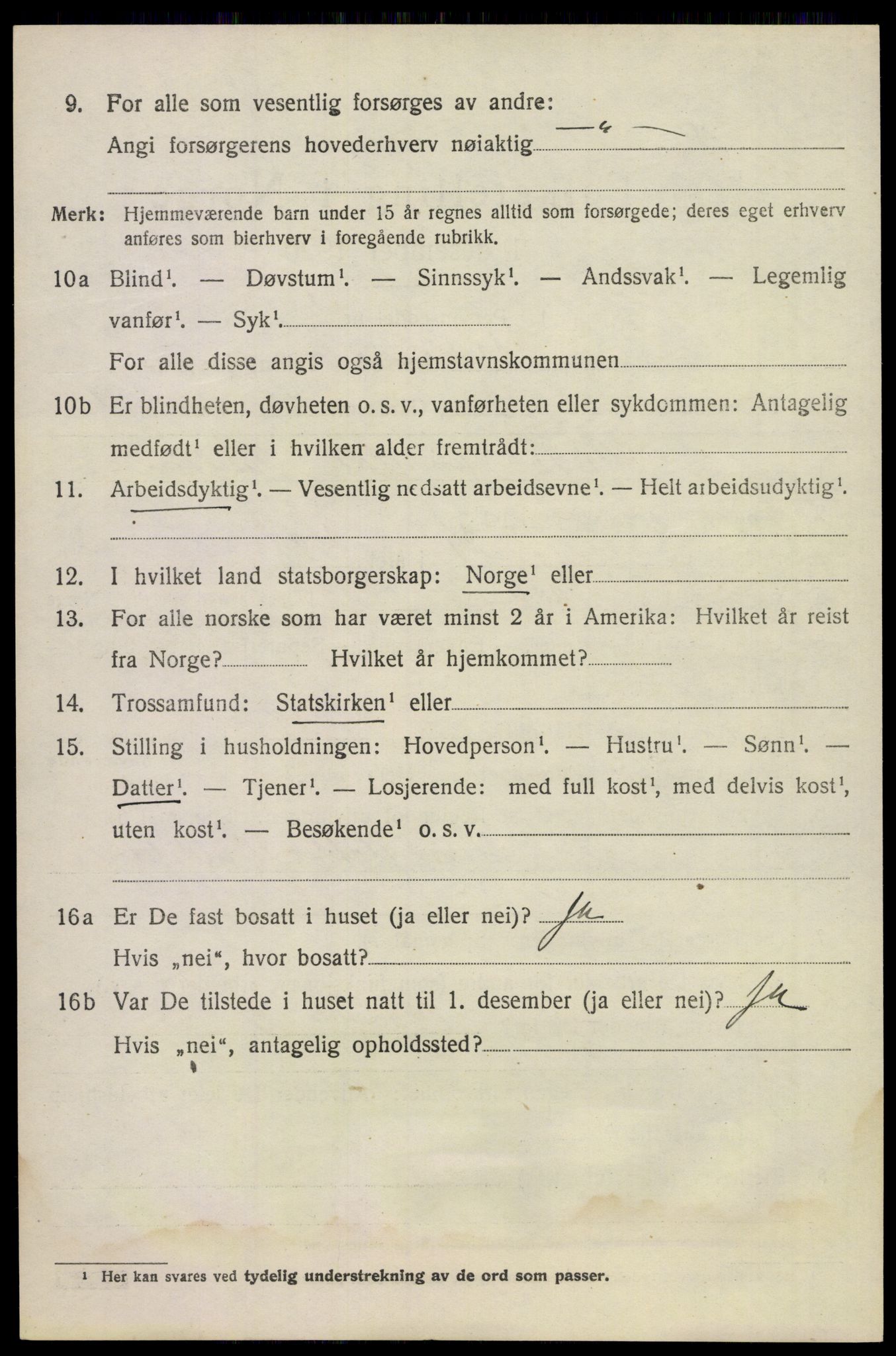SAKO, 1920 census for Våle, 1920, p. 4795