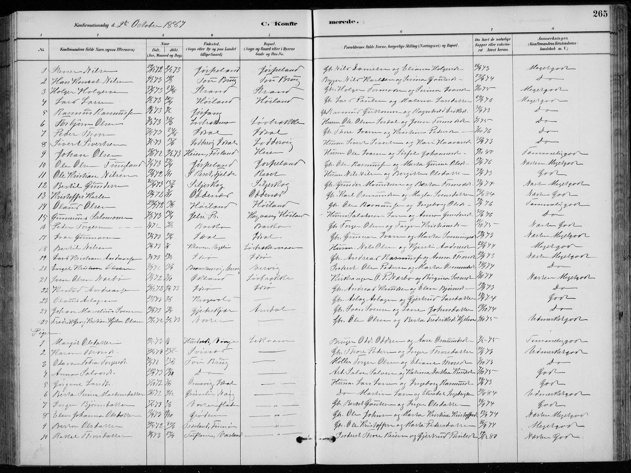 Strand sokneprestkontor, SAST/A-101828/H/Ha/Hab/L0004: Parish register (copy) no. B 4, 1878-1903, p. 265
