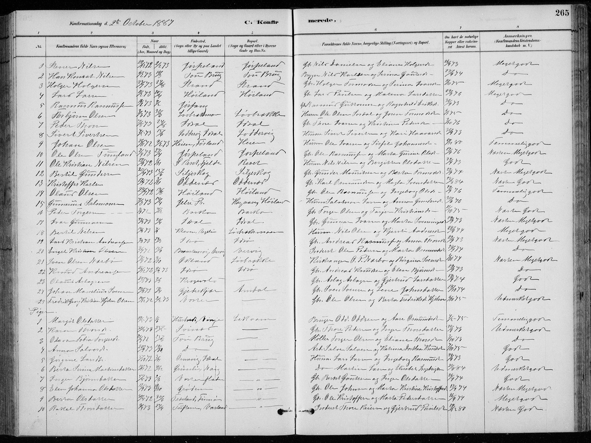 Strand sokneprestkontor, AV/SAST-A-101828/H/Ha/Hab/L0004: Parish register (copy) no. B 4, 1878-1903, p. 265