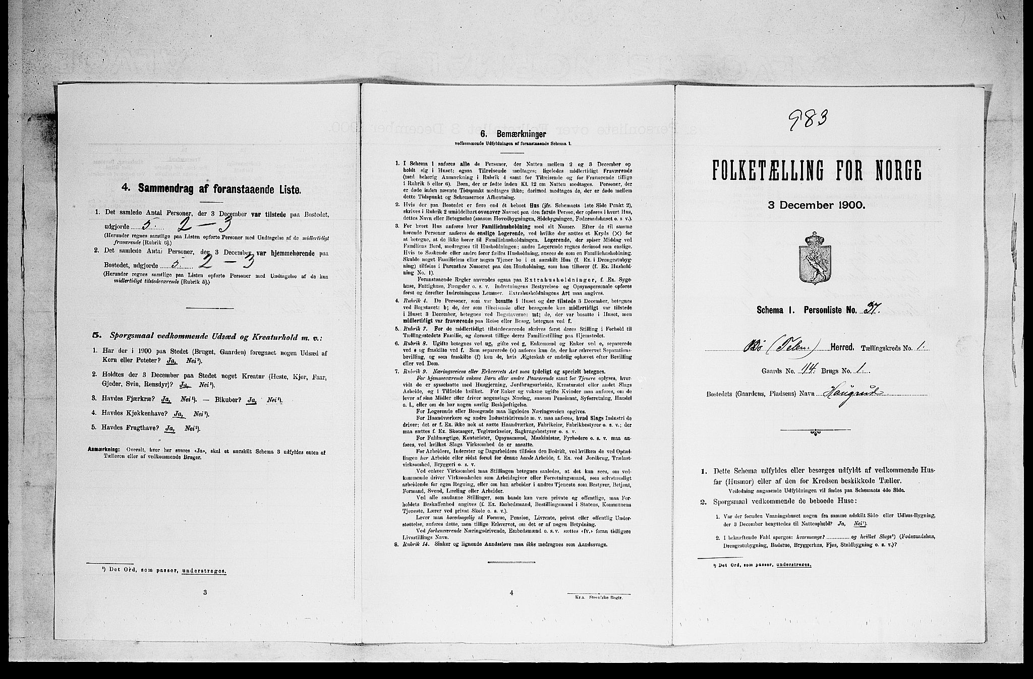 SAKO, 1900 census for Bø, 1900, p. 148