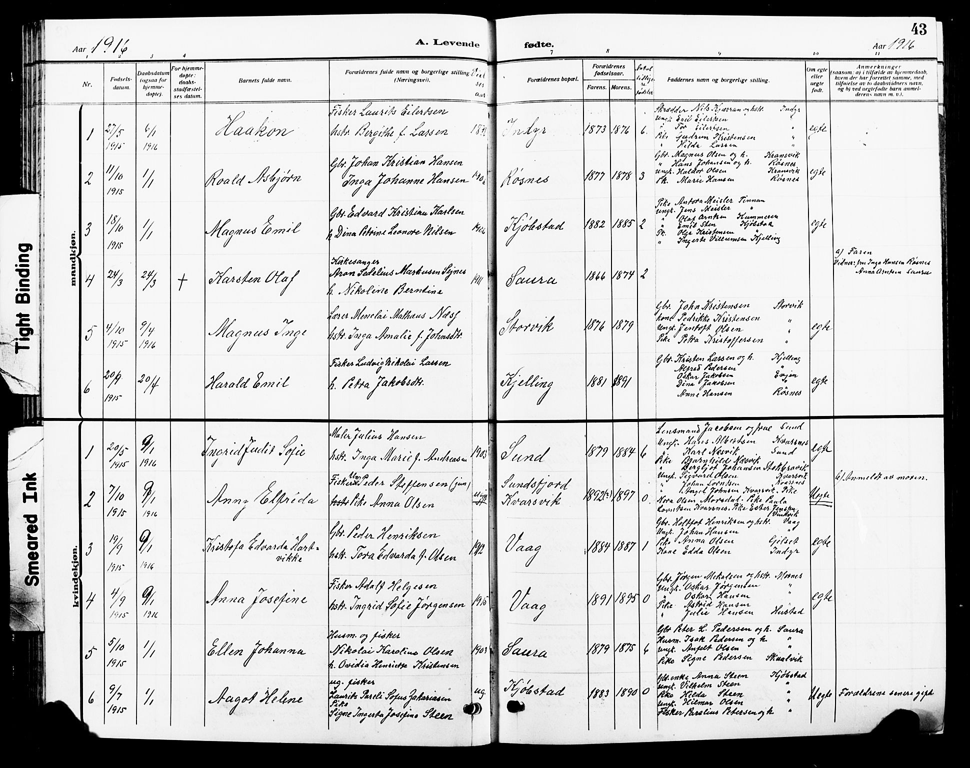 Ministerialprotokoller, klokkerbøker og fødselsregistre - Nordland, AV/SAT-A-1459/805/L0110: Parish register (copy) no. 805C06, 1909-1924, p. 43