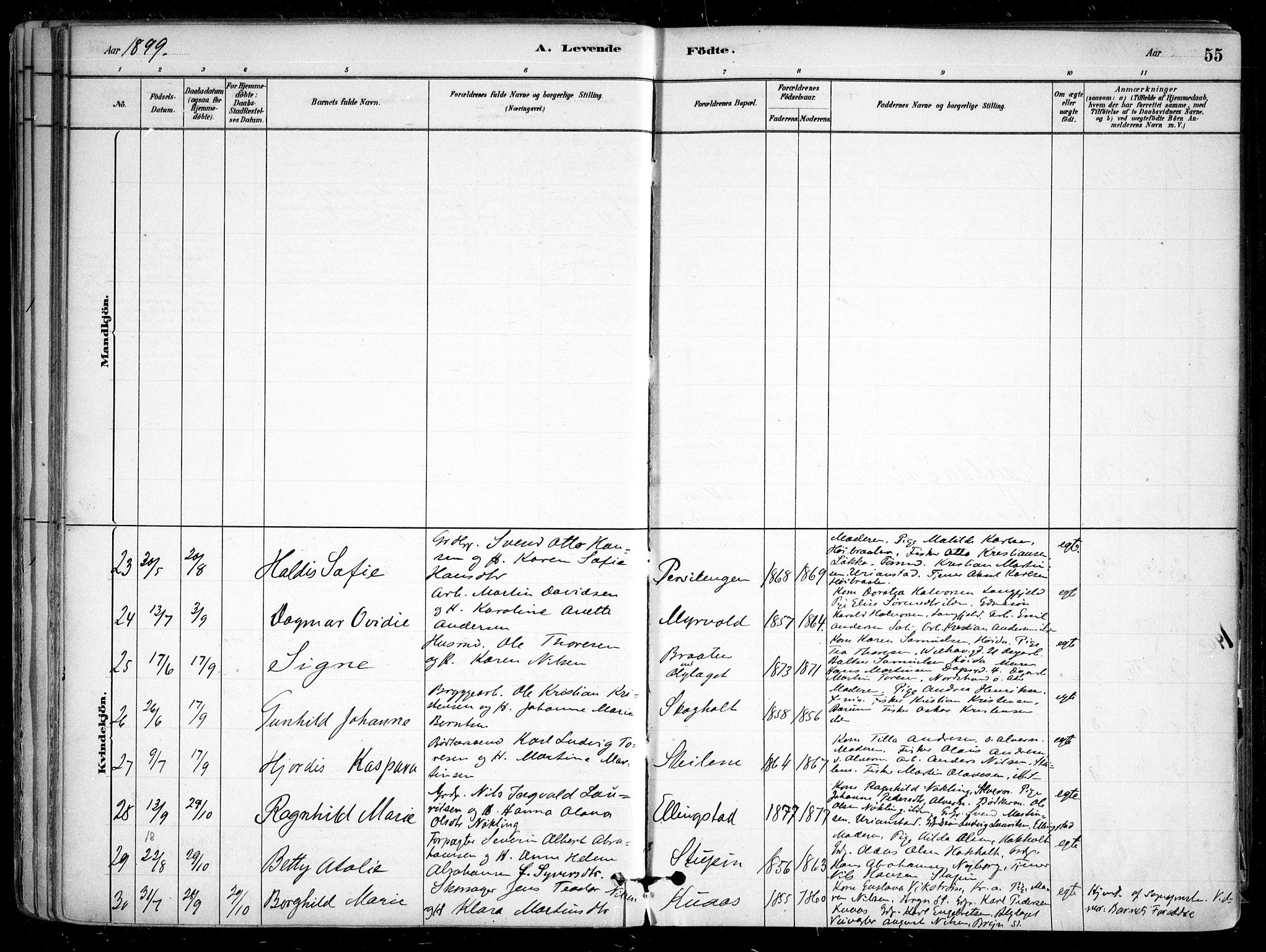 Nesodden prestekontor Kirkebøker, SAO/A-10013/F/Fa/L0009: Parish register (official) no. I 9, 1880-1915, p. 55