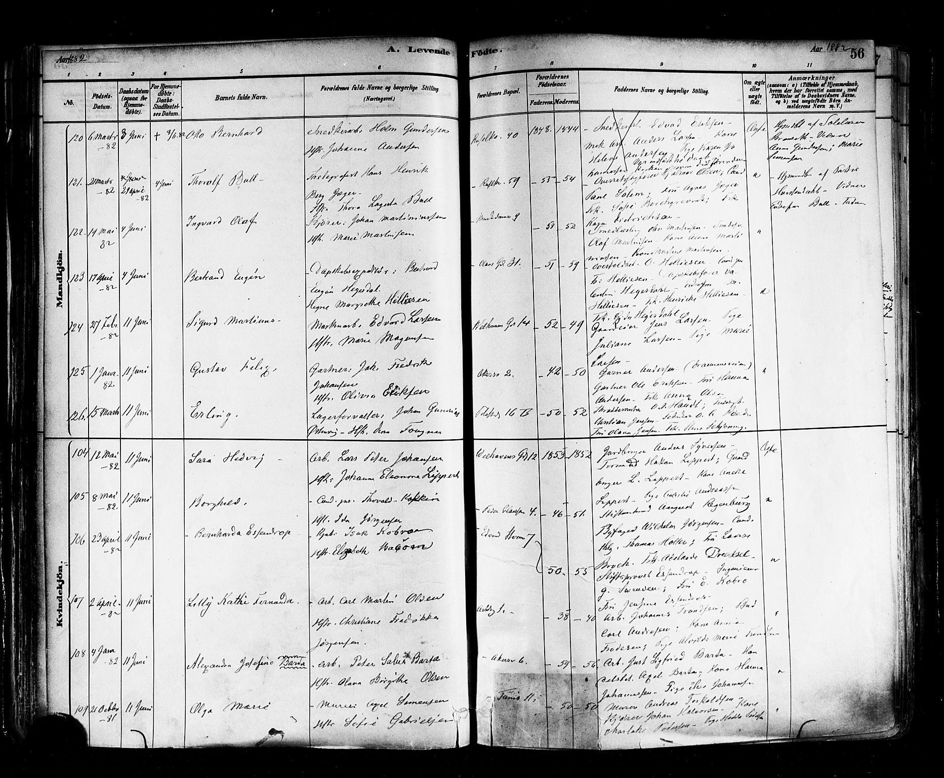 Trefoldighet prestekontor Kirkebøker, SAO/A-10882/F/Fa/L0005: Parish register (official) no. I 5, 1881-1891, p. 56