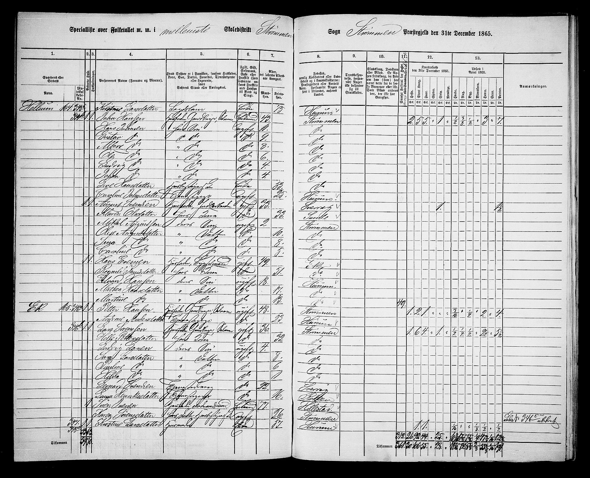 RA, 1865 census for Strømm, 1865, p. 27