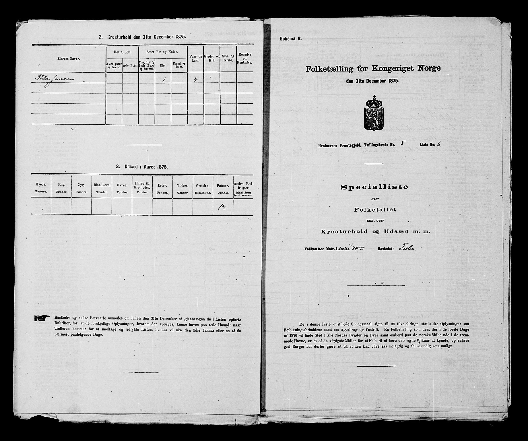 RA, 1875 census for 0111P Hvaler, 1875, p. 719