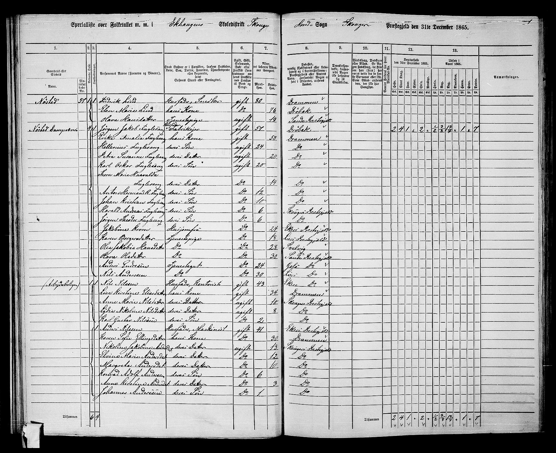 RA, 1865 census for Skoger, 1865, p. 39