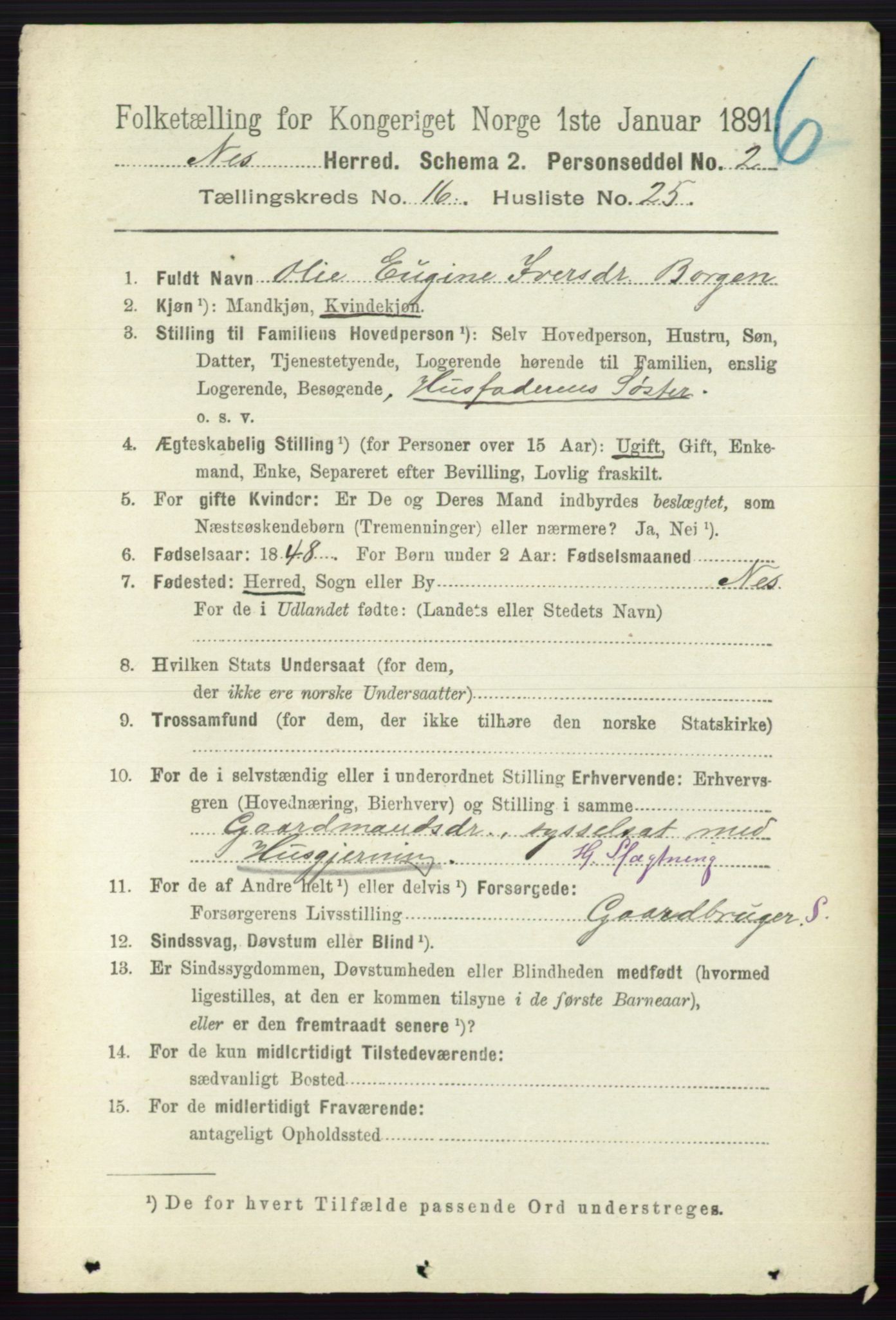 RA, 1891 census for 0236 Nes, 1891, p. 9699