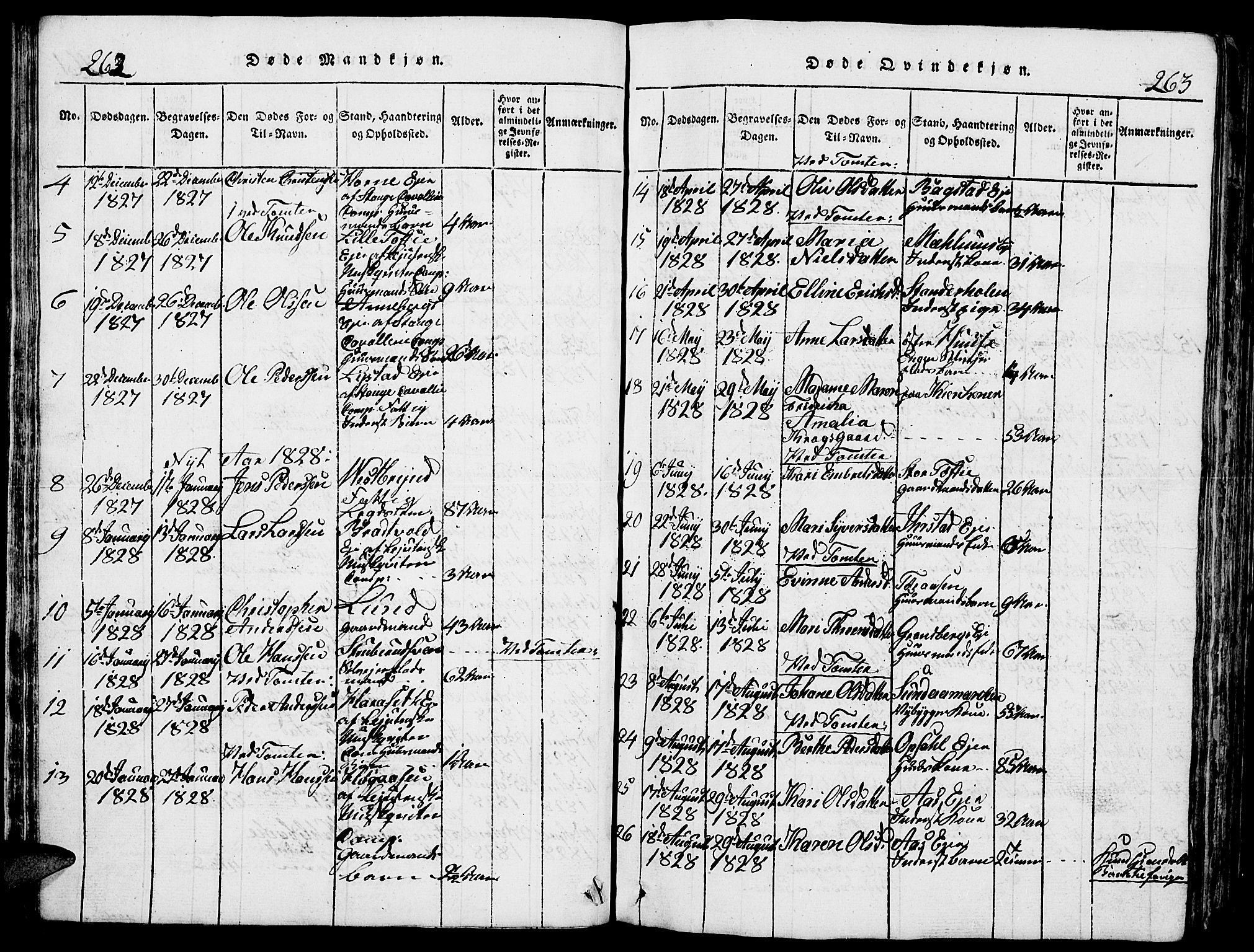 Romedal prestekontor, SAH/PREST-004/L/L0005: Parish register (copy) no. 5, 1814-1829, p. 262-263