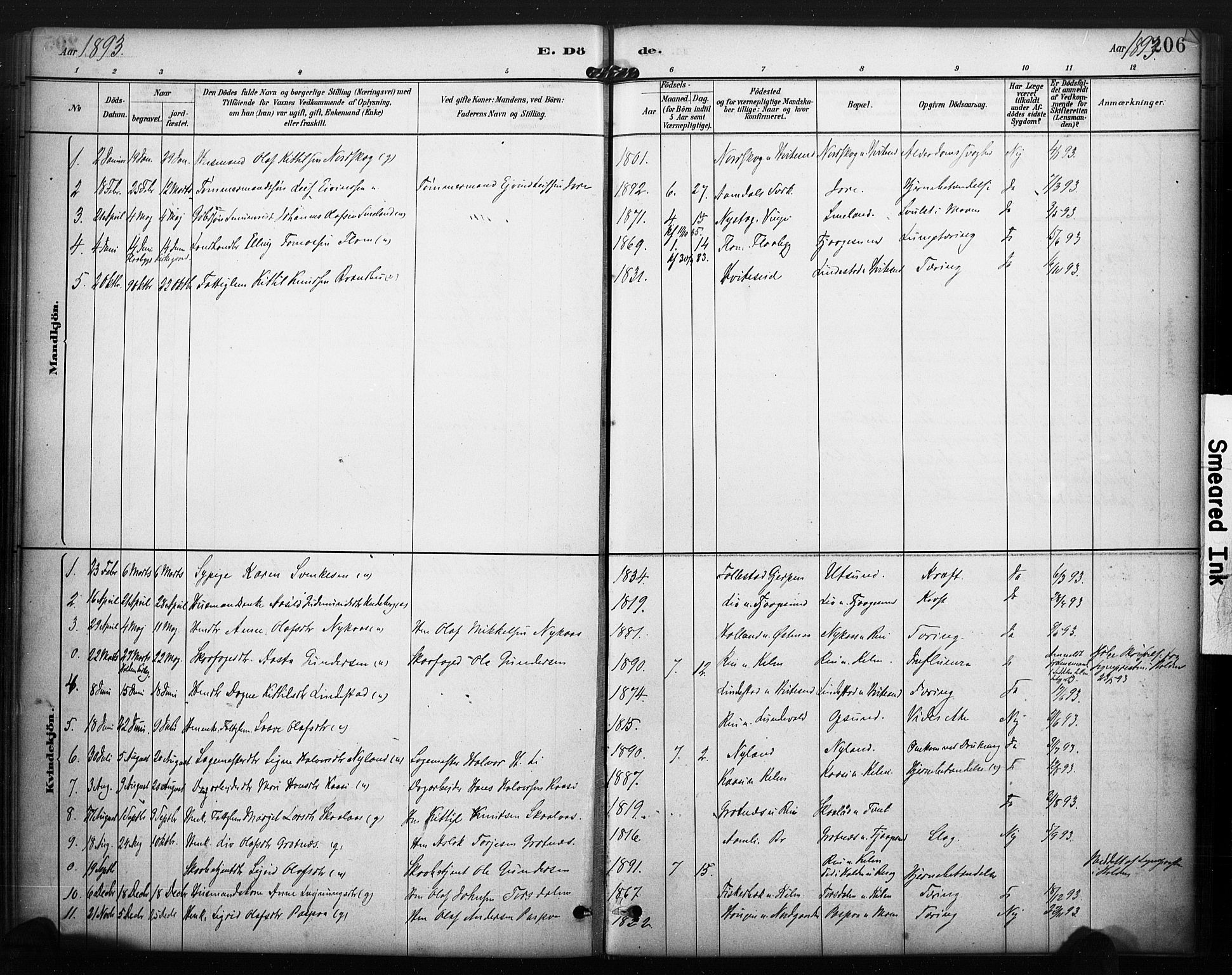 Kviteseid kirkebøker, SAKO/A-276/F/Fa/L0008: Parish register (official) no. I 8, 1882-1903, p. 206