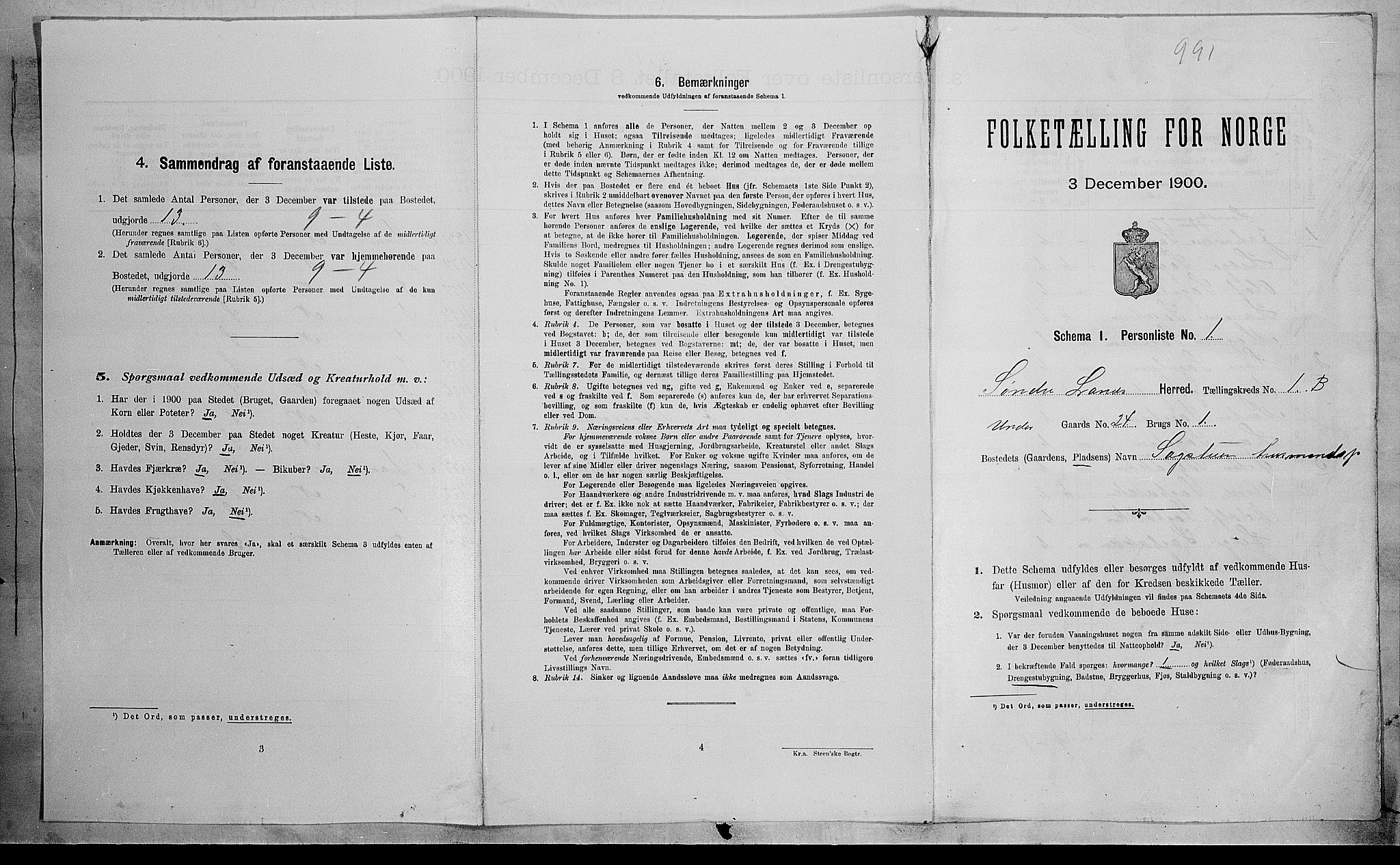 SAH, 1900 census for Søndre Land, 1900, p. 228