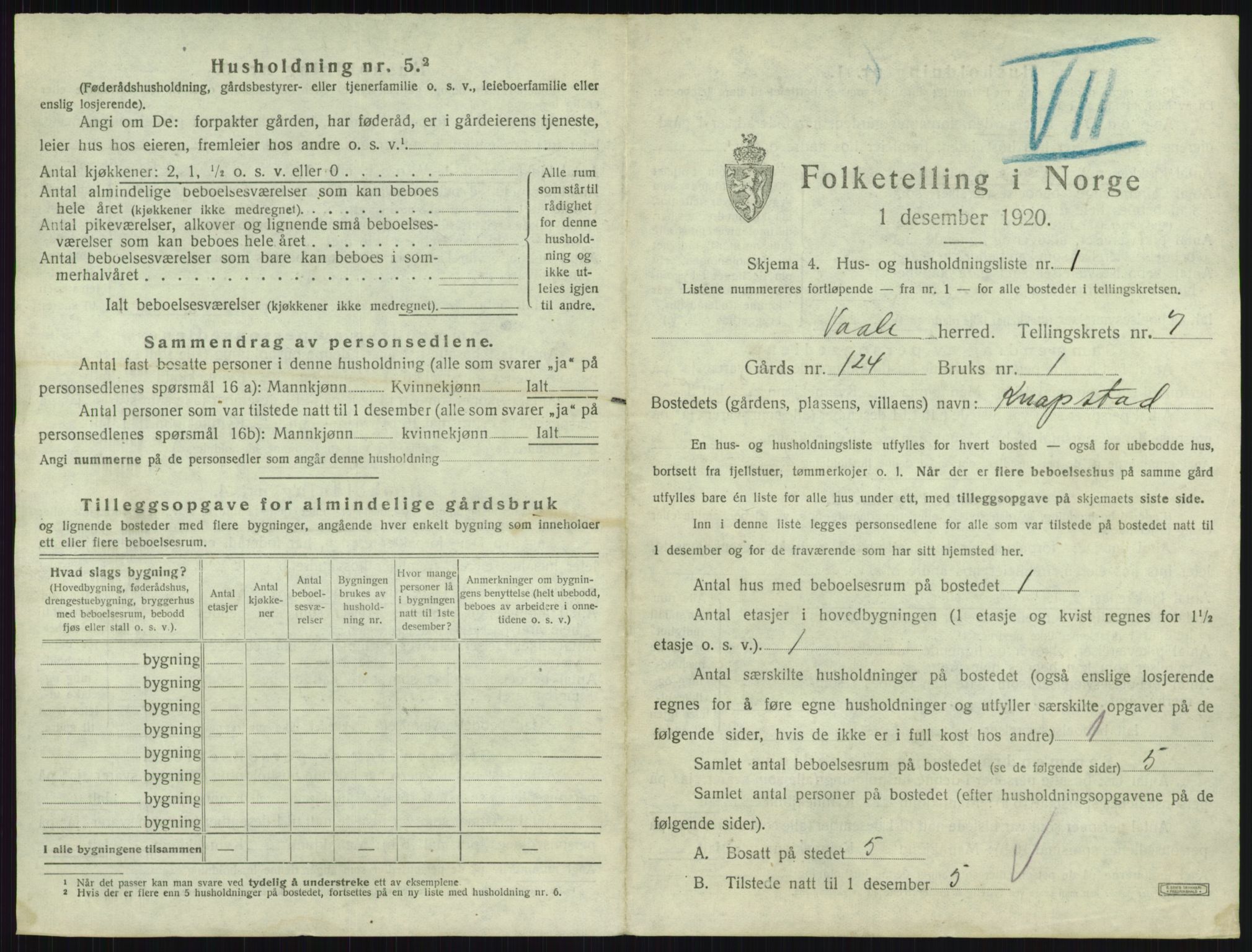 SAKO, 1920 census for Våle, 1920, p. 857