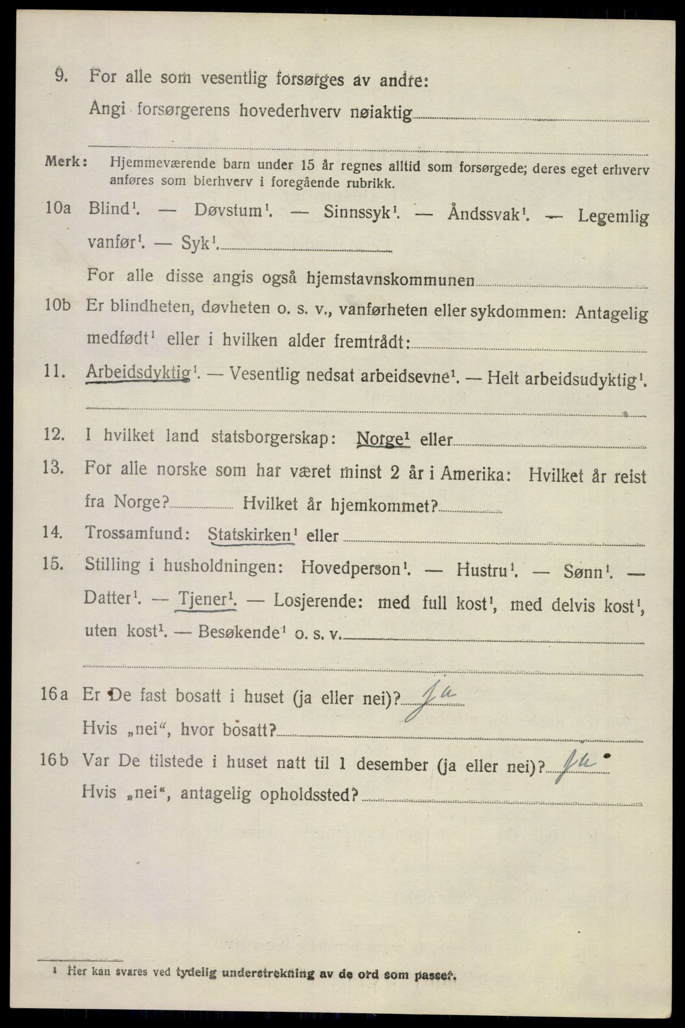 SAKO, 1920 census for Borre, 1920, p. 3967