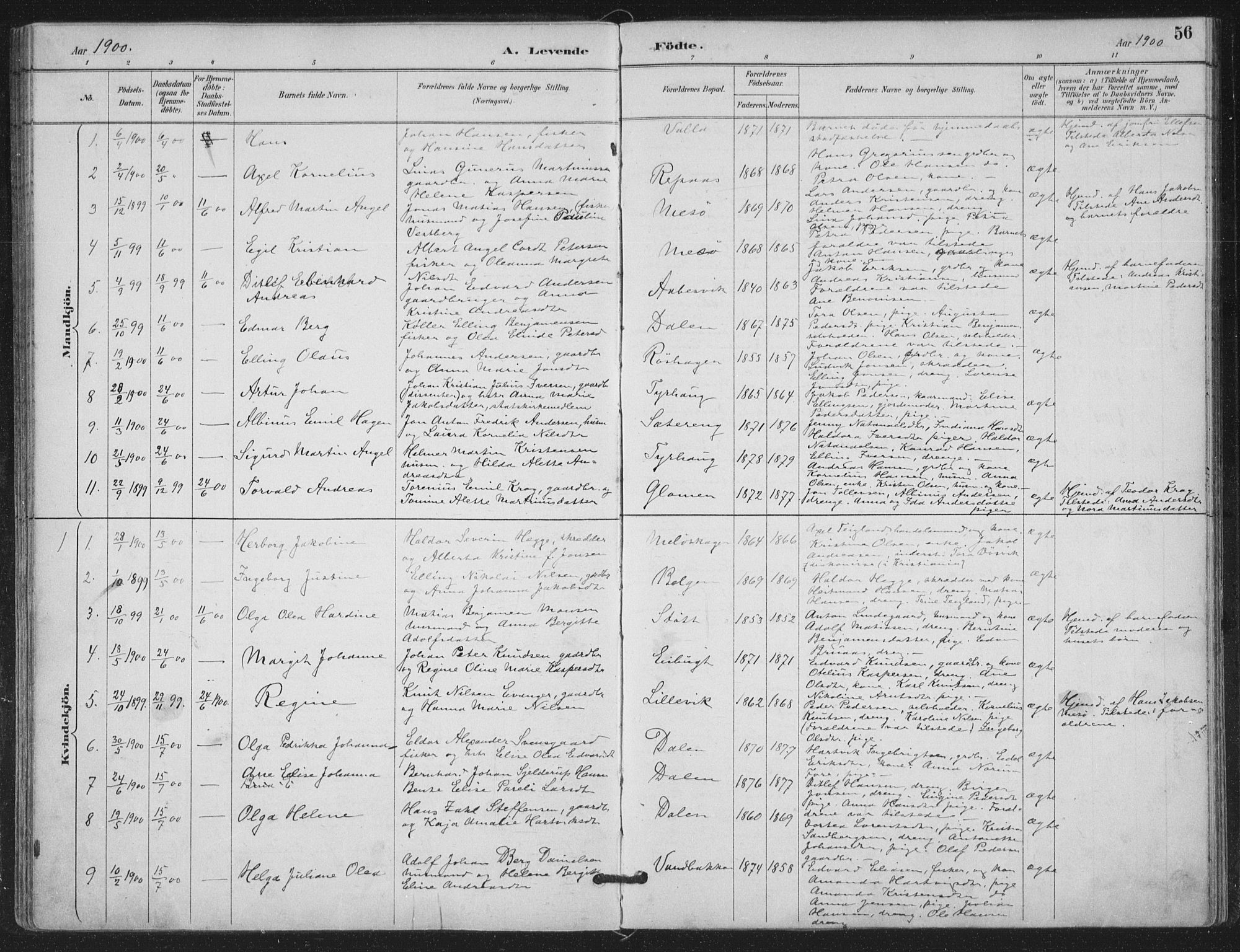 Ministerialprotokoller, klokkerbøker og fødselsregistre - Nordland, SAT/A-1459/843/L0628: Parish register (official) no. 843A03, 1889-1907, p. 56