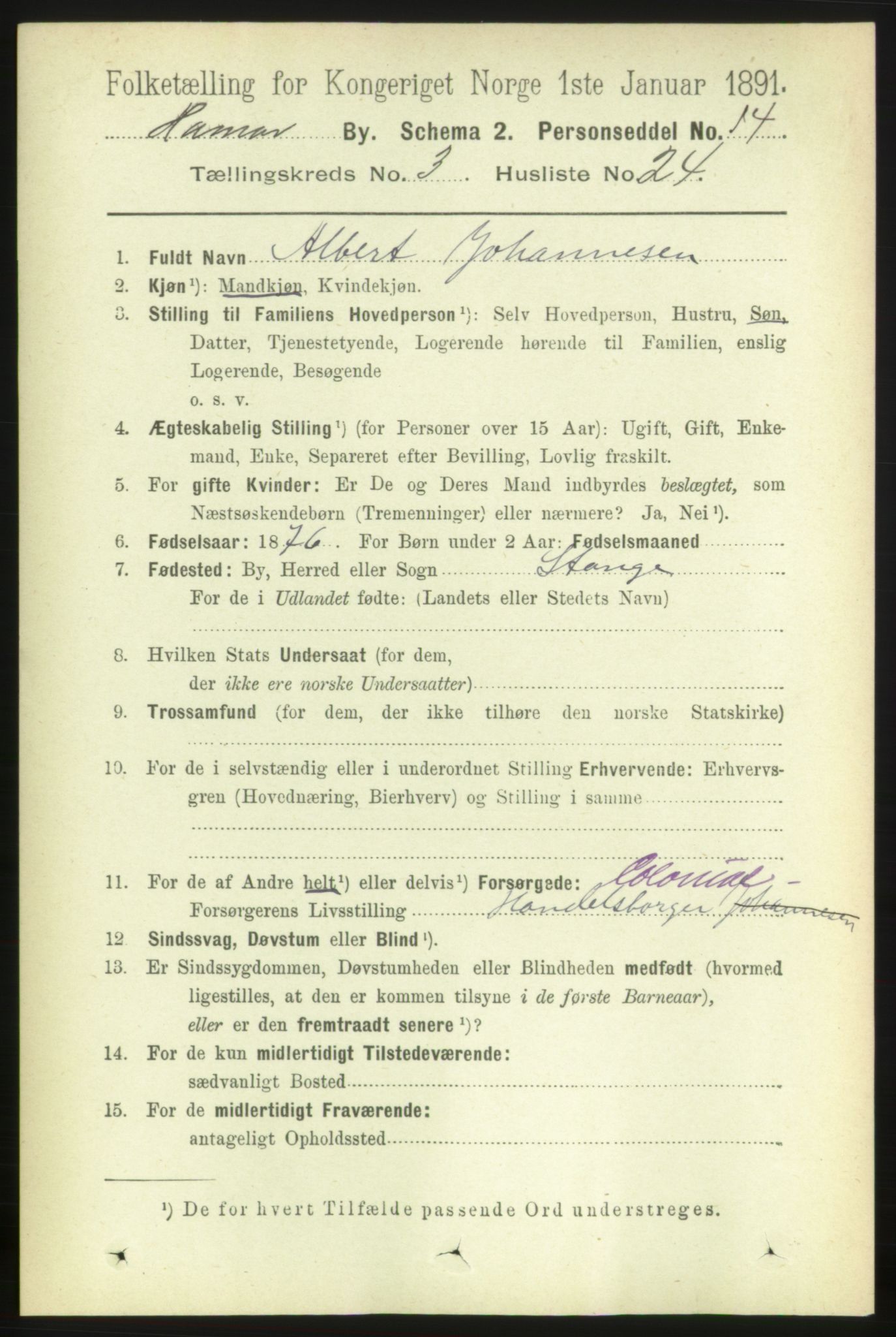 RA, 1891 census for 0401 Hamar, 1891, p. 2246