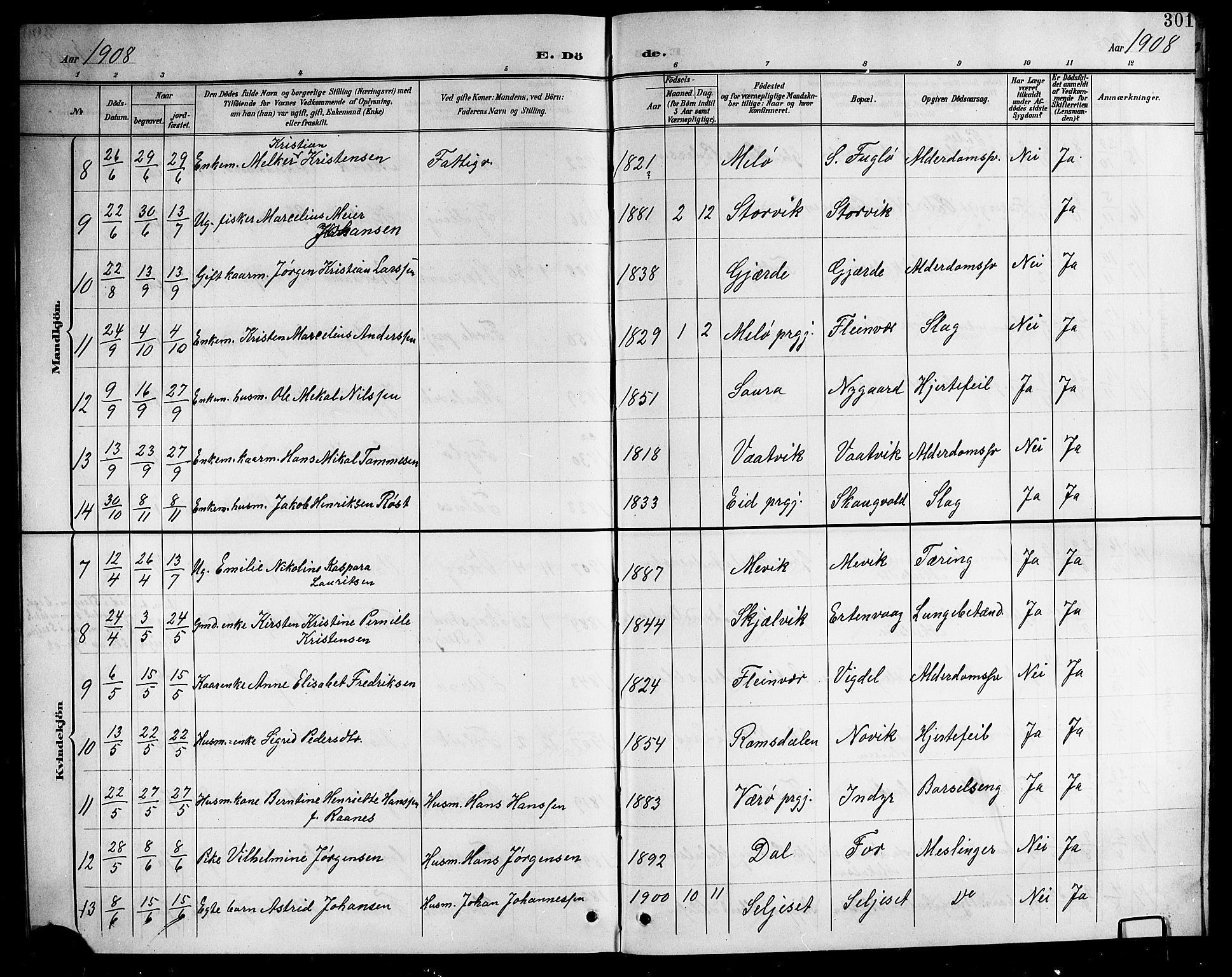 Ministerialprotokoller, klokkerbøker og fødselsregistre - Nordland, AV/SAT-A-1459/805/L0109: Parish register (copy) no. 805C05, 1900-1911, p. 301