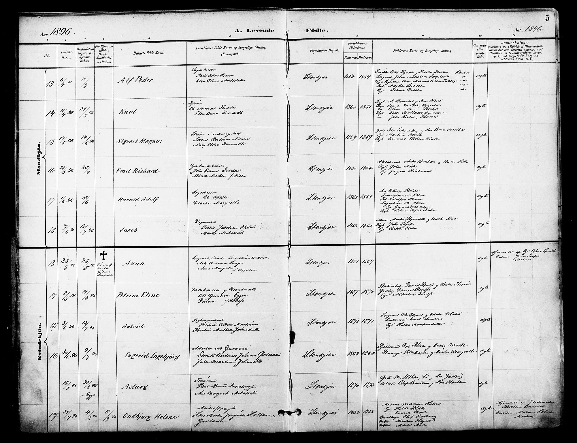 Ministerialprotokoller, klokkerbøker og fødselsregistre - Nord-Trøndelag, AV/SAT-A-1458/739/L0372: Parish register (official) no. 739A04, 1895-1903, p. 5