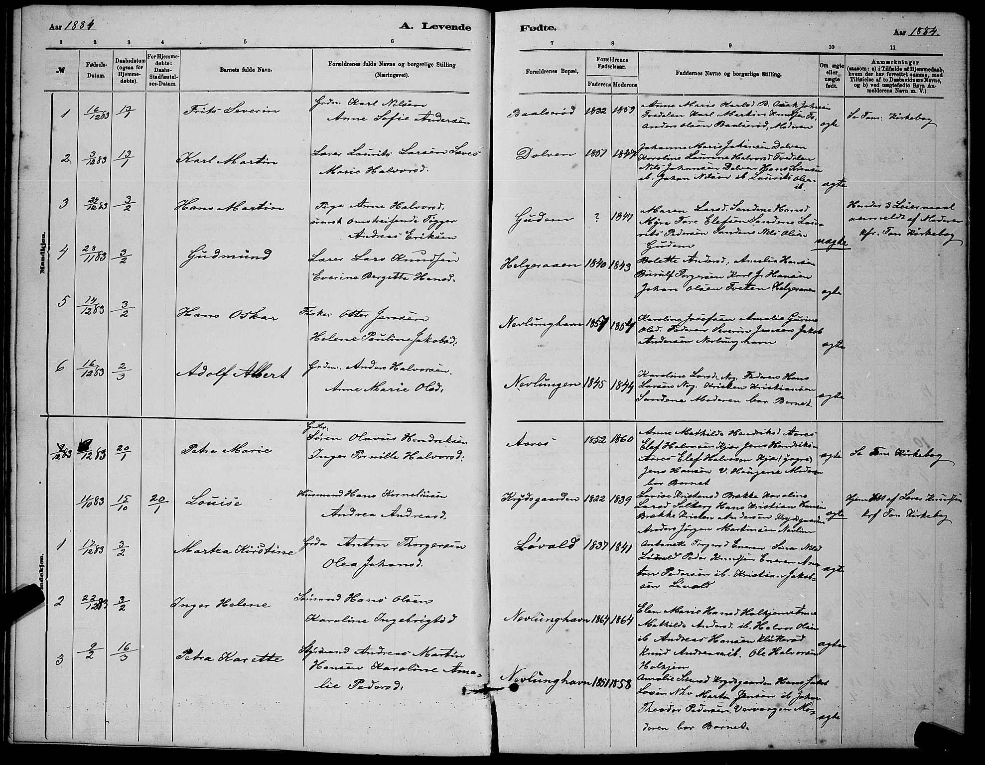 Brunlanes kirkebøker, AV/SAKO-A-342/G/Gb/L0002: Parish register (copy) no. II 2, 1878-1902