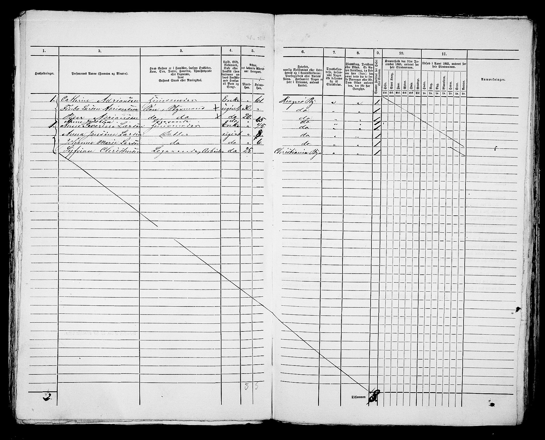 RA, 1865 census for Kragerø/Kragerø, 1865, p. 1021