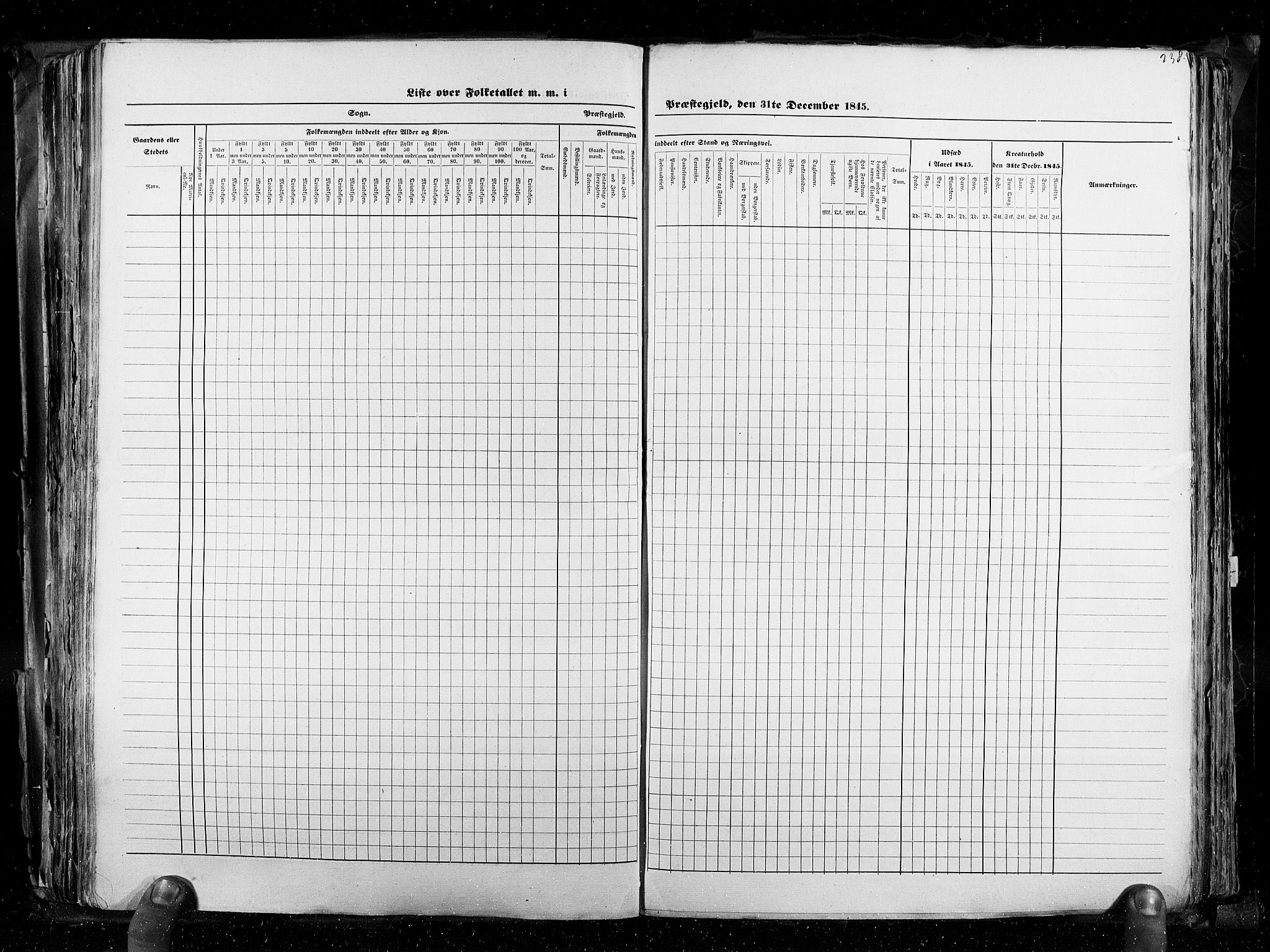 RA, Census 1845, vol. 3: Hedemarken amt og Kristians amt, 1845, p. 238