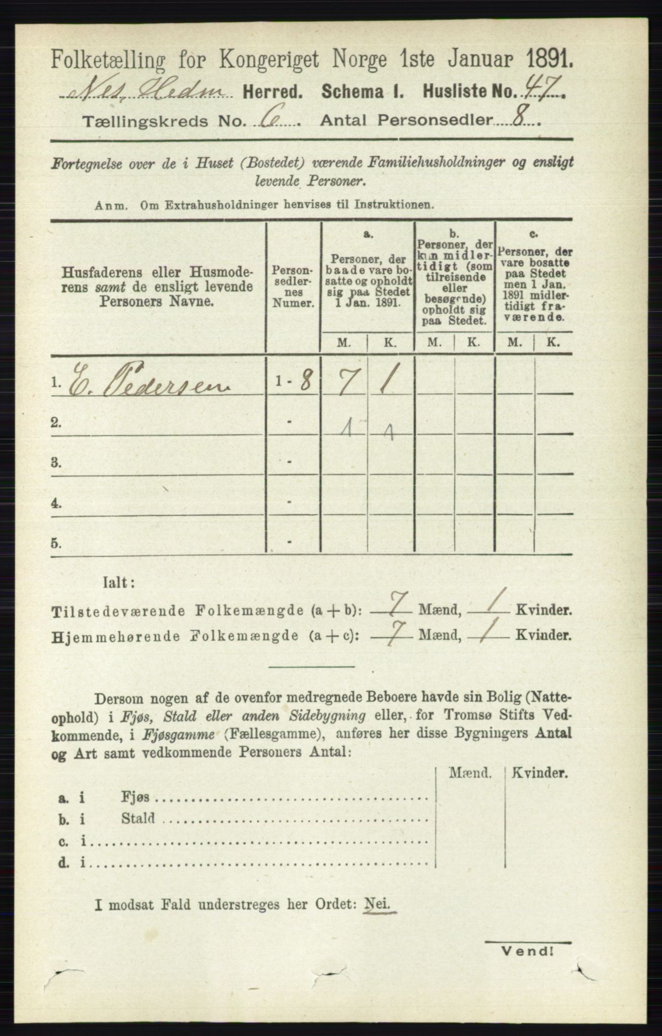 RA, 1891 census for 0411 Nes, 1891, p. 3215