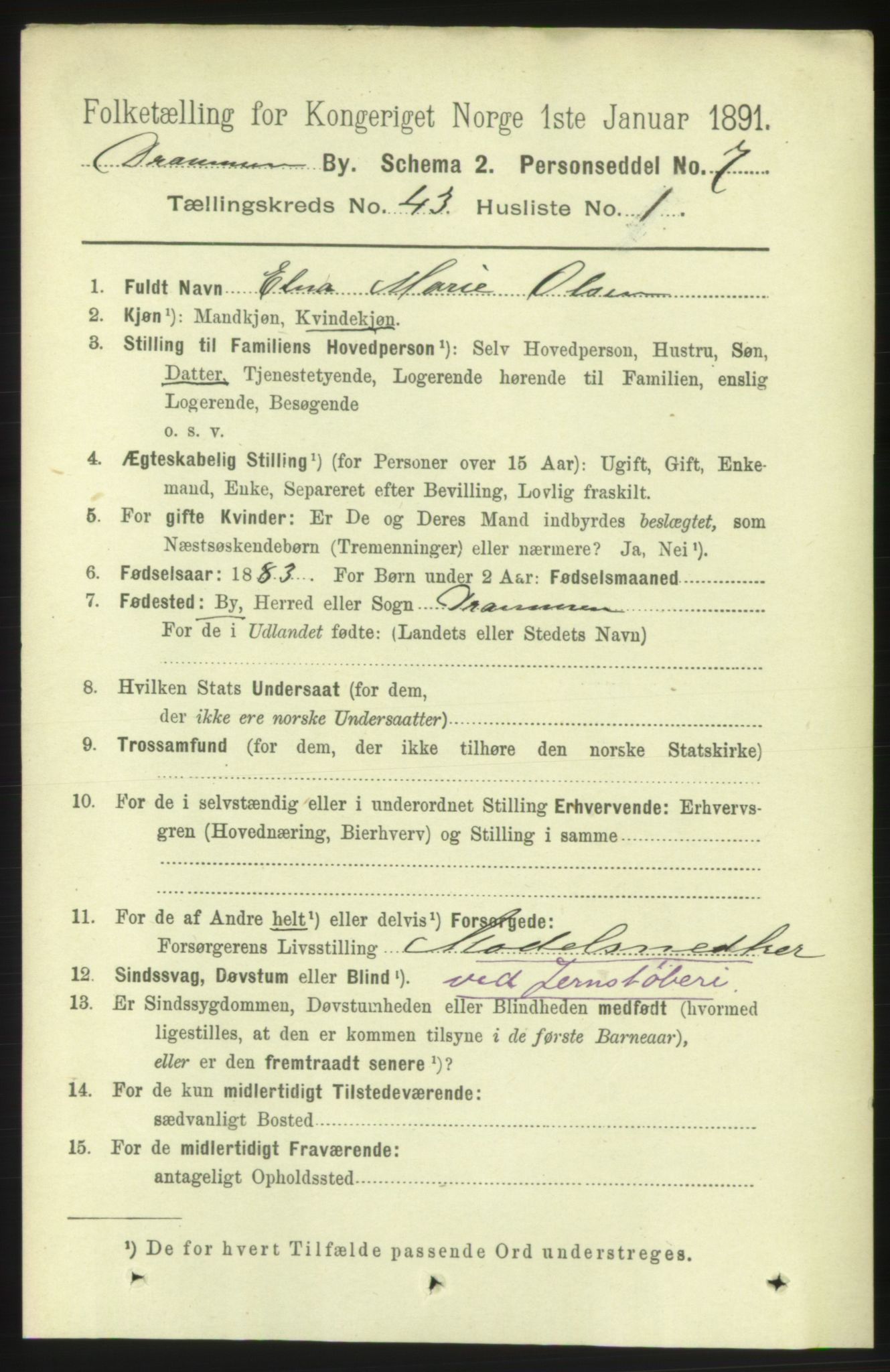 RA, 1891 census for 0602 Drammen, 1891, p. 25045