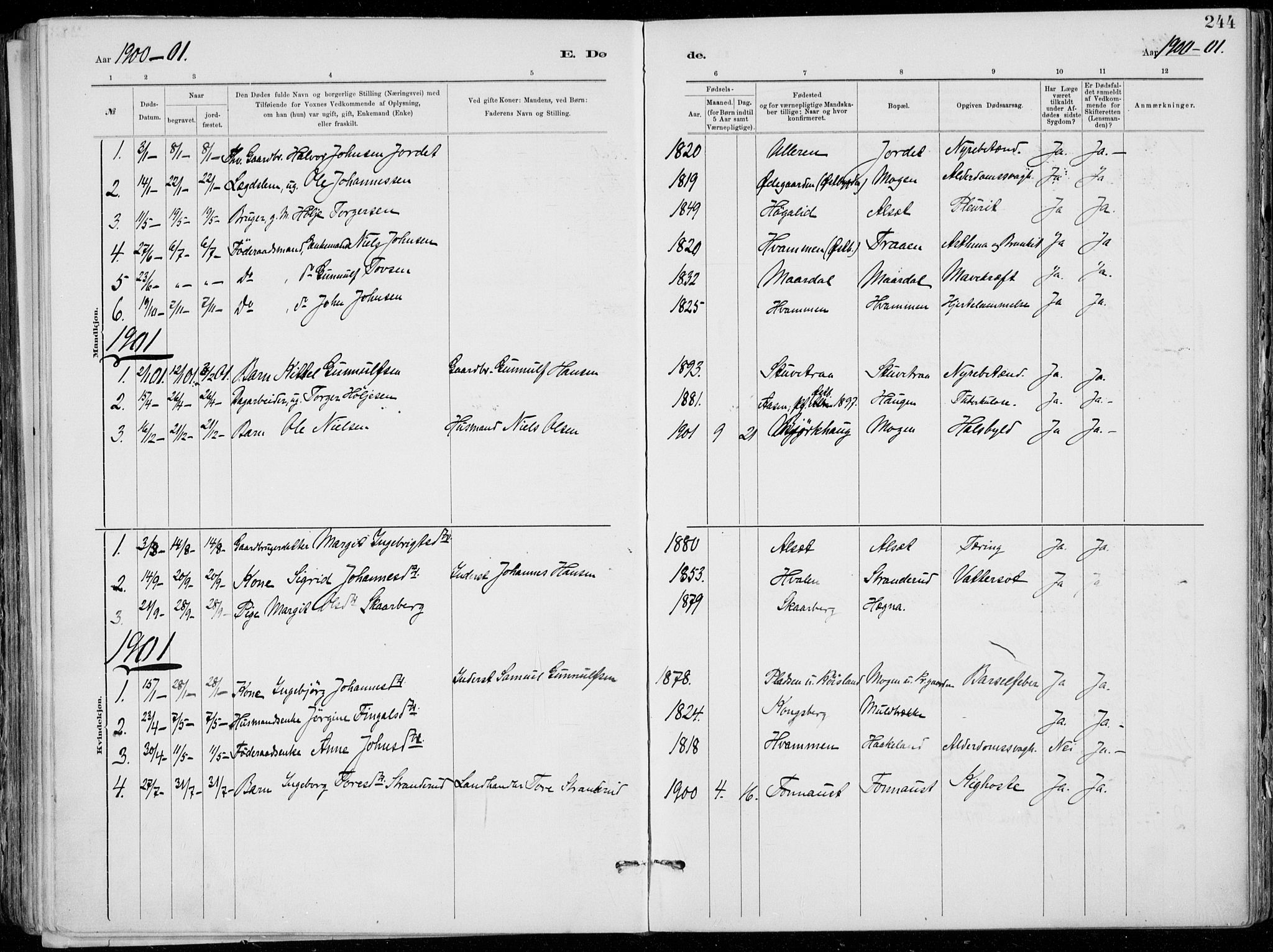 Tinn kirkebøker, SAKO/A-308/F/Fa/L0007: Parish register (official) no. I 7, 1878-1922, p. 244