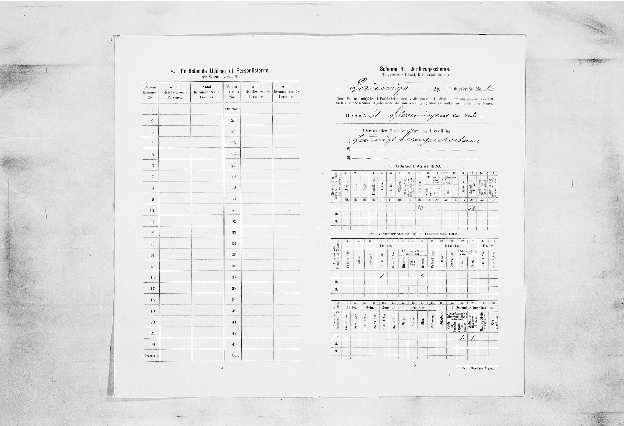 RA, 1900 census for Larvik, 1900, p. 1091
