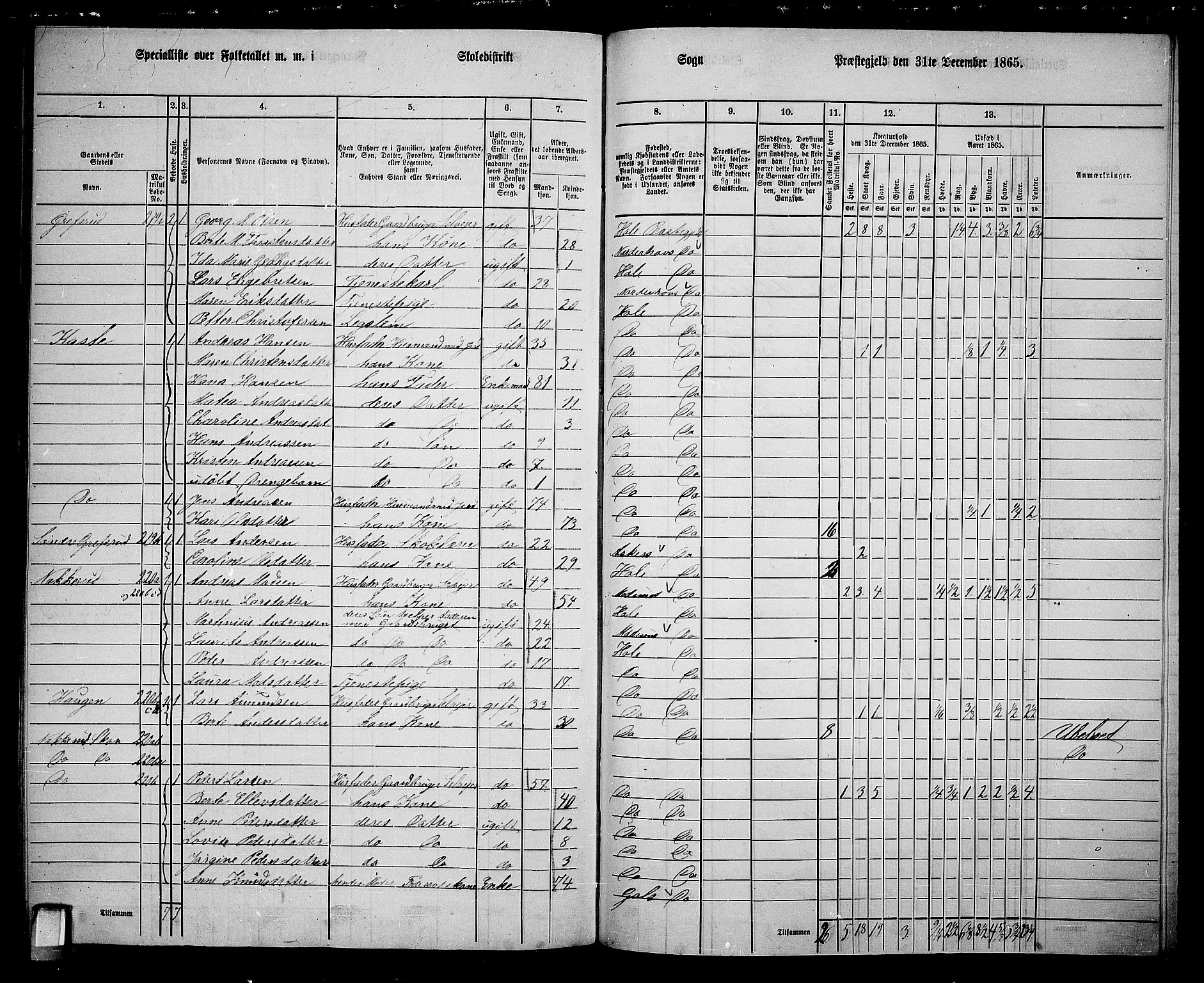 RA, 1865 census for Hole, 1865, p. 152