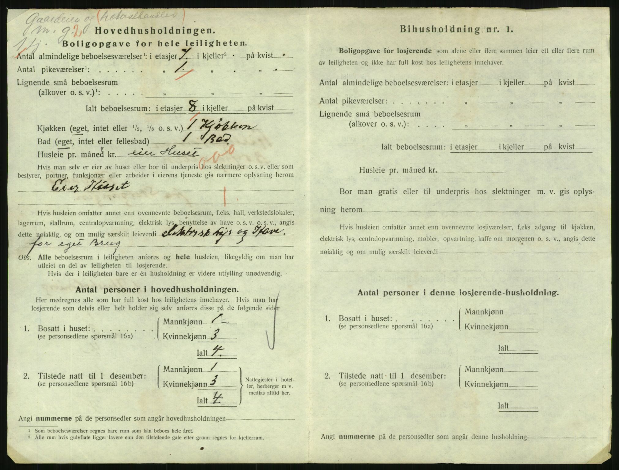 SAH, 1920 census for Lillehammer, 1920, p. 3733