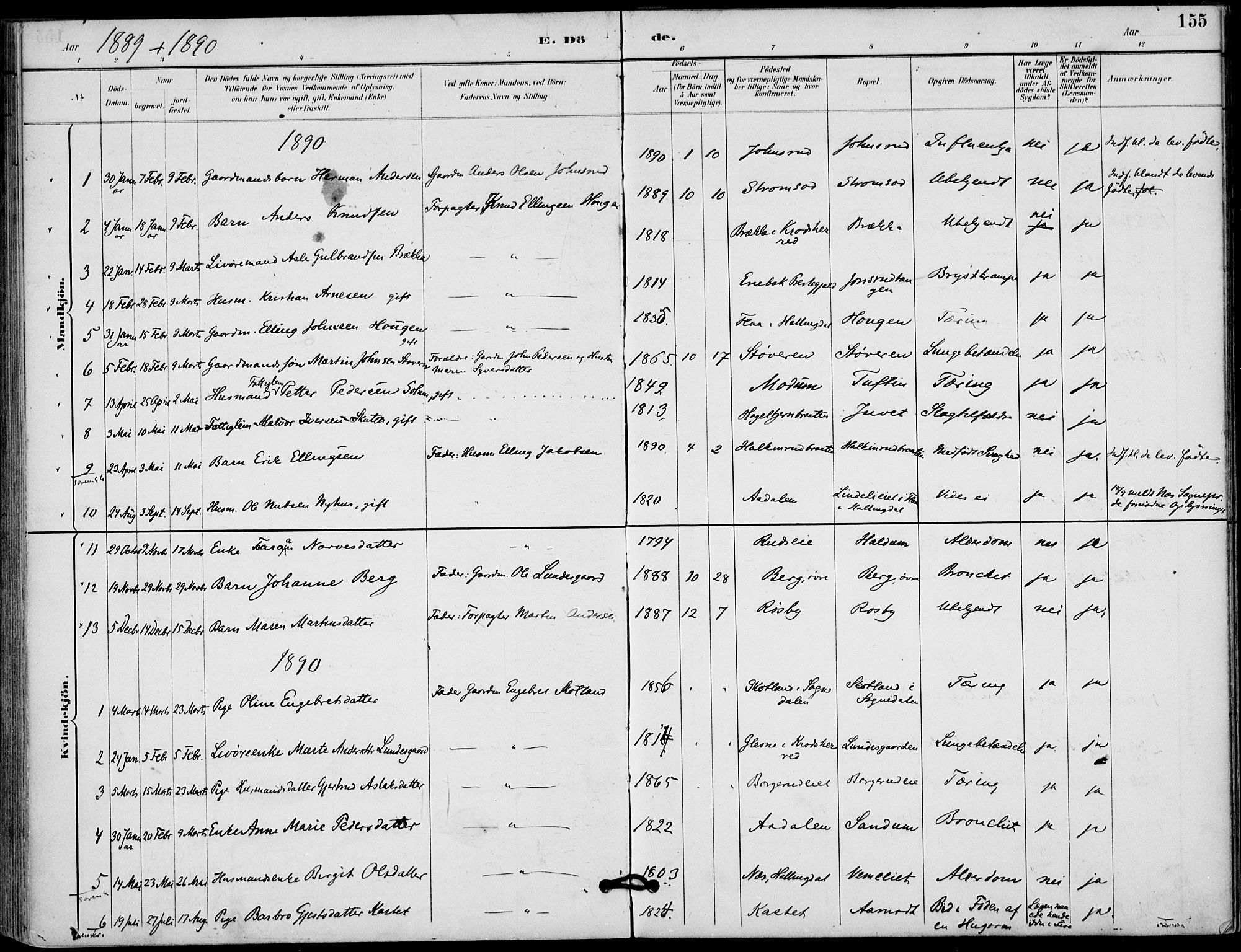 Lunder kirkebøker, AV/SAKO-A-629/F/Fa/L0001: Parish register (official) no. I 1, 1885-1912, p. 155