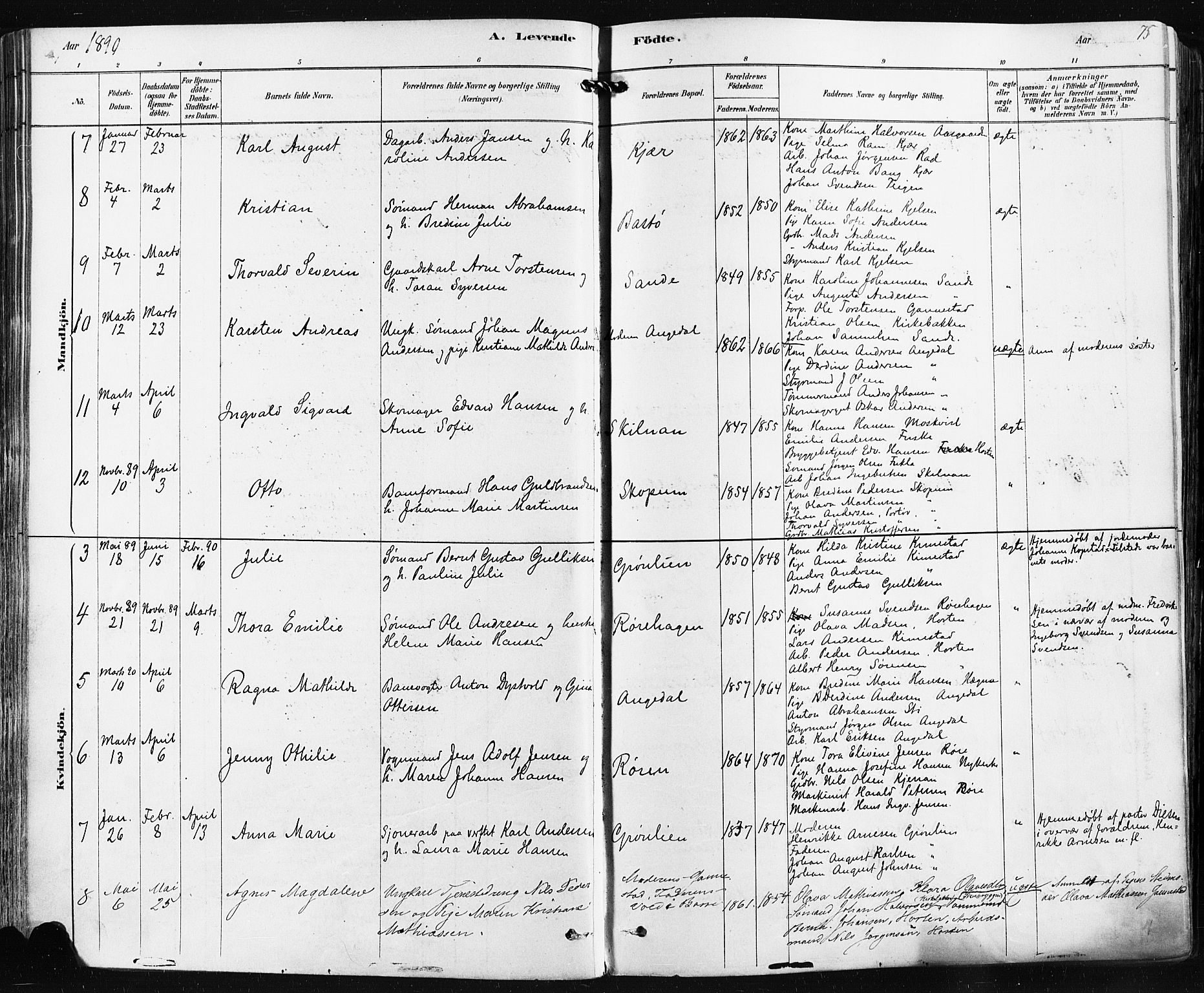 Borre kirkebøker, AV/SAKO-A-338/F/Fa/L0009: Parish register (official) no. I 9, 1878-1896, p. 75