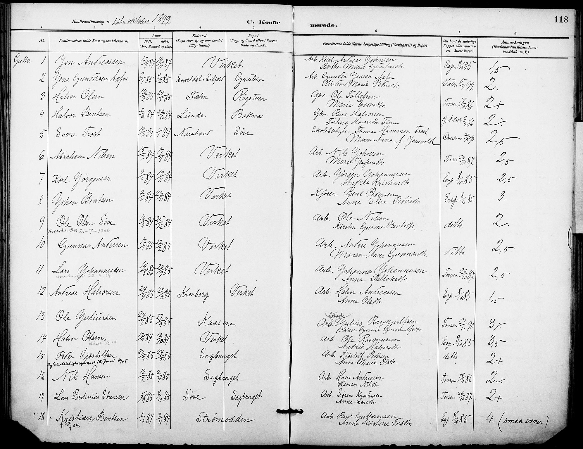 Holla kirkebøker, AV/SAKO-A-272/F/Fa/L0010: Parish register (official) no. 10, 1897-1907, p. 118