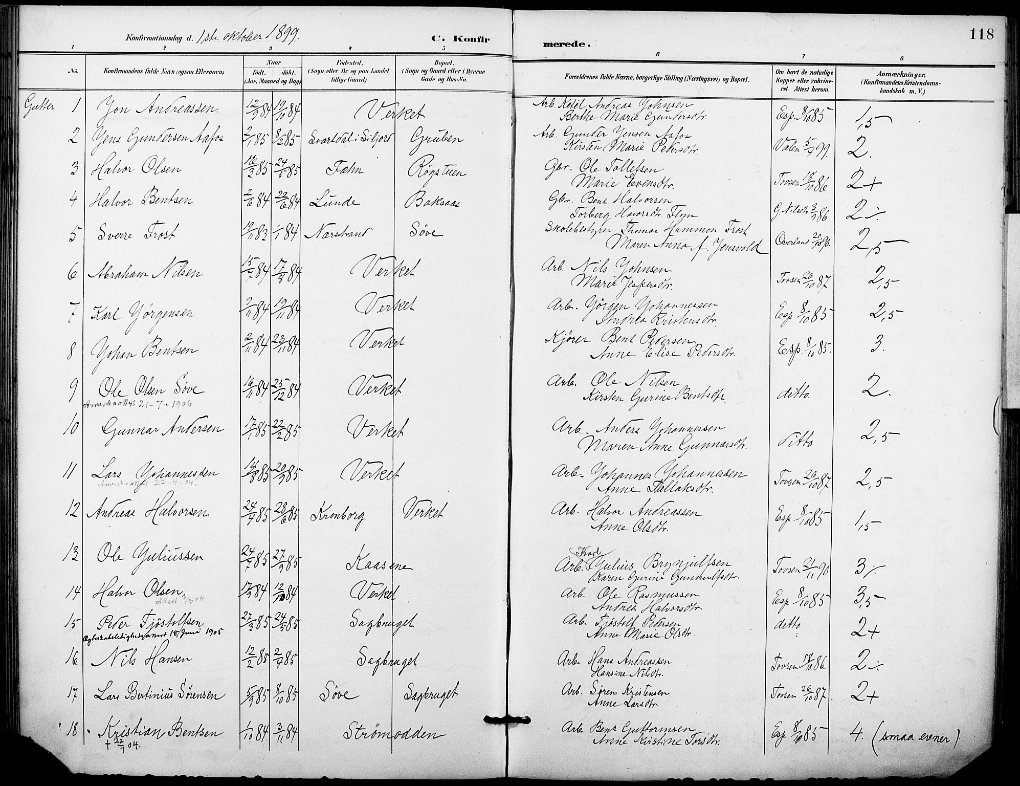 Holla kirkebøker, SAKO/A-272/F/Fa/L0010: Parish register (official) no. 10, 1897-1907, p. 118