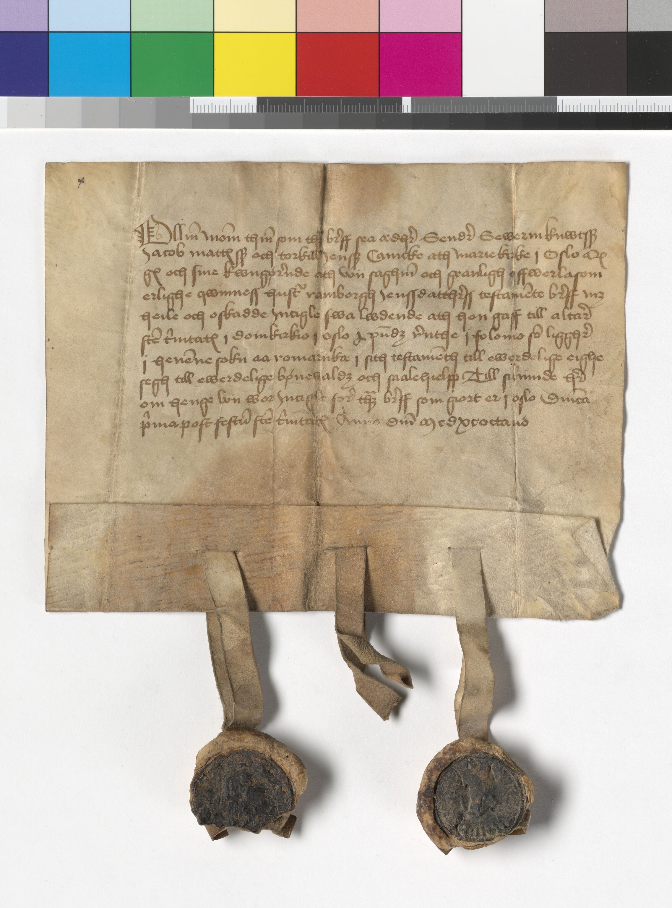 Riksarkivets diplomsamling, AV/RA-EA-5965/F05/L0233: NRA AM fasc. 96 nr. 6 - fasc. 97 nr. 1, 1494-1502, p. 11