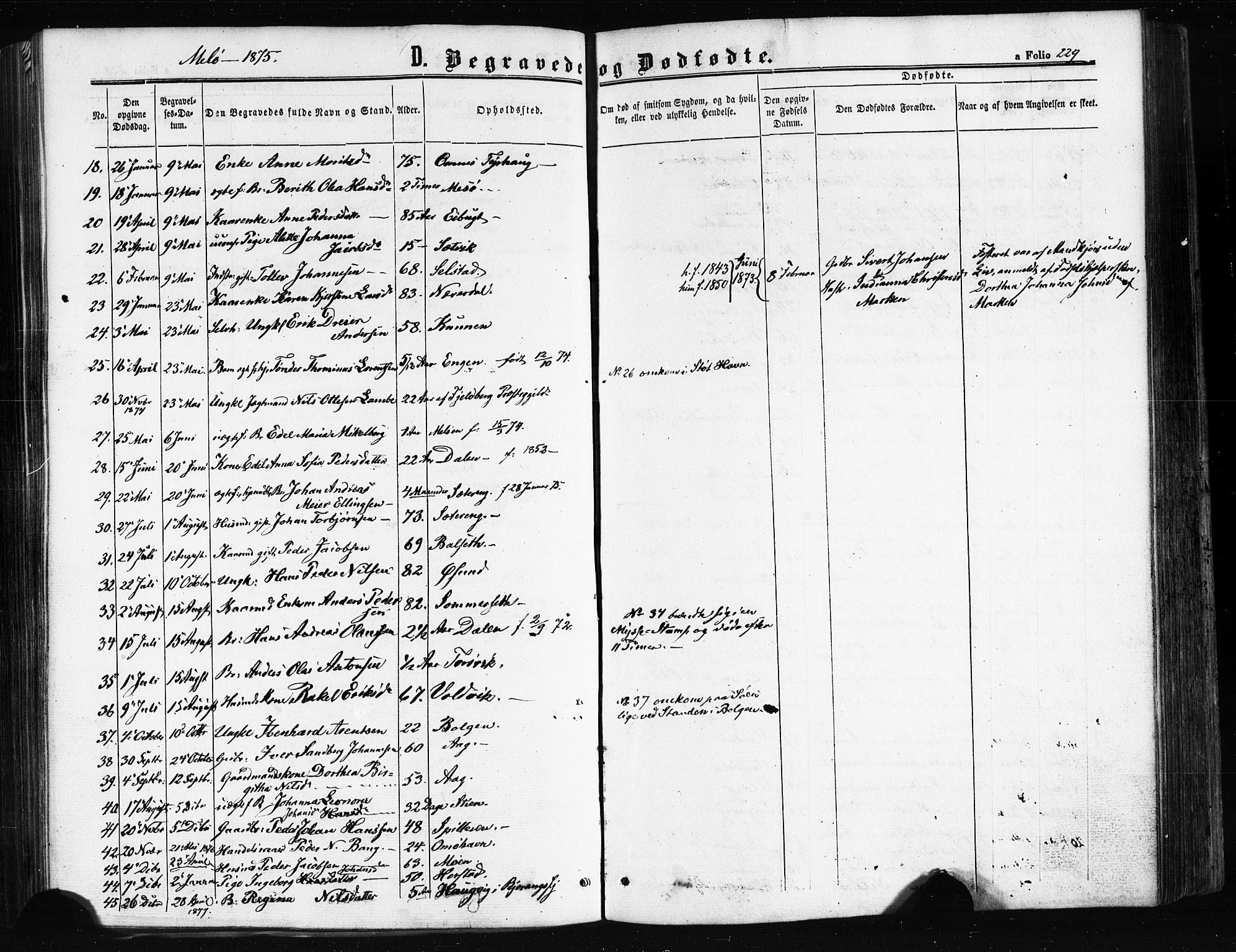 Ministerialprotokoller, klokkerbøker og fødselsregistre - Nordland, SAT/A-1459/841/L0607: Parish register (official) no. 841A11 /2, 1863-1877, p. 229