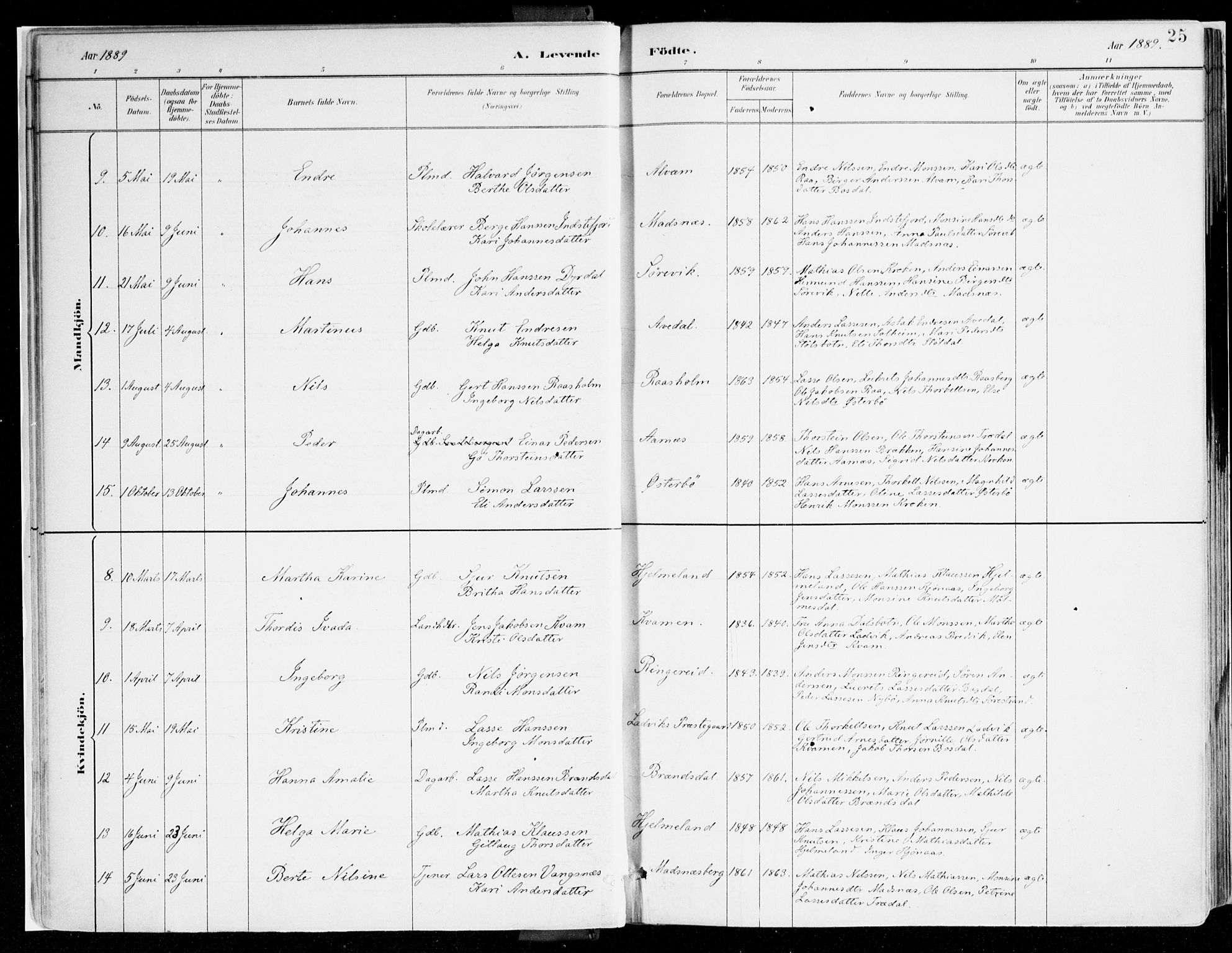 Lavik sokneprestembete, AV/SAB-A-80901: Parish register (official) no. B 1, 1882-1908, p. 25