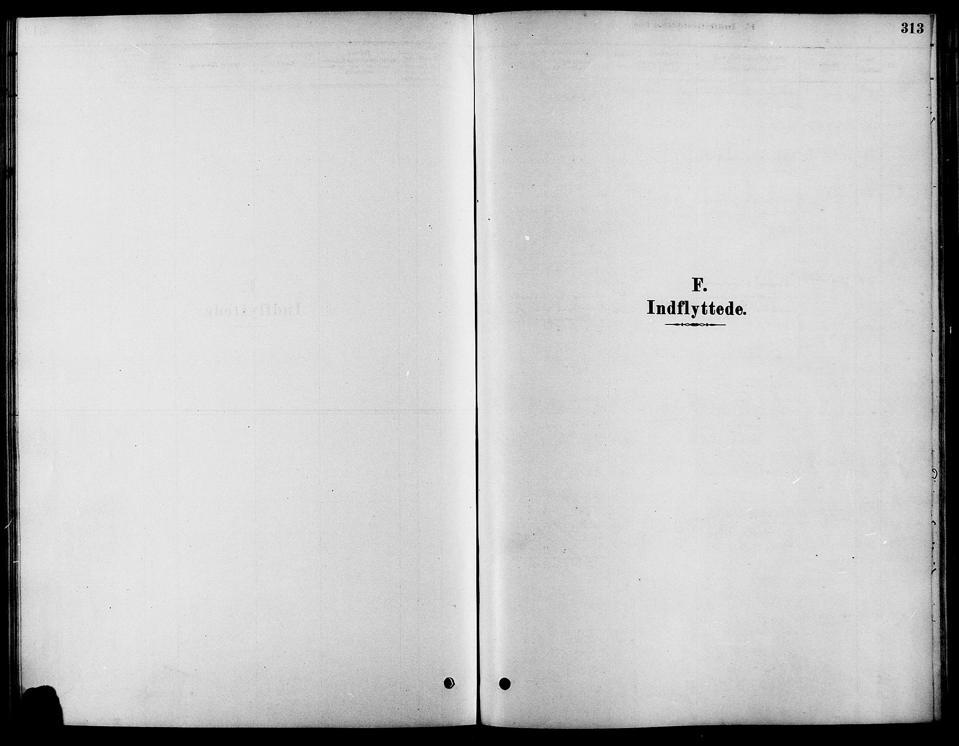 Fåberg prestekontor, SAH/PREST-086/H/Ha/Haa/L0008: Parish register (official) no. 8, 1879-1898, p. 313