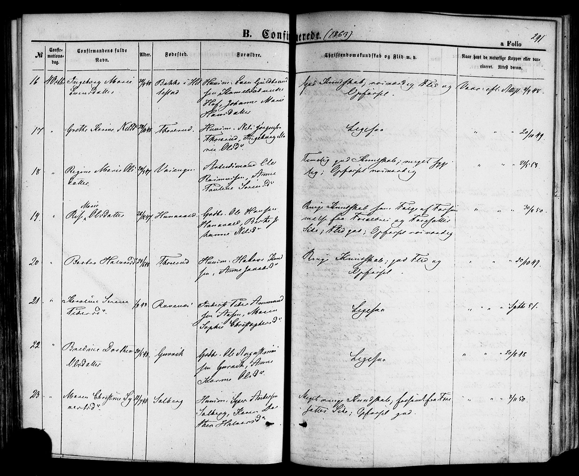 Hof kirkebøker, AV/SAKO-A-64/F/Fa/L0006: Parish register (official) no. I 6, 1851-1877, p. 291