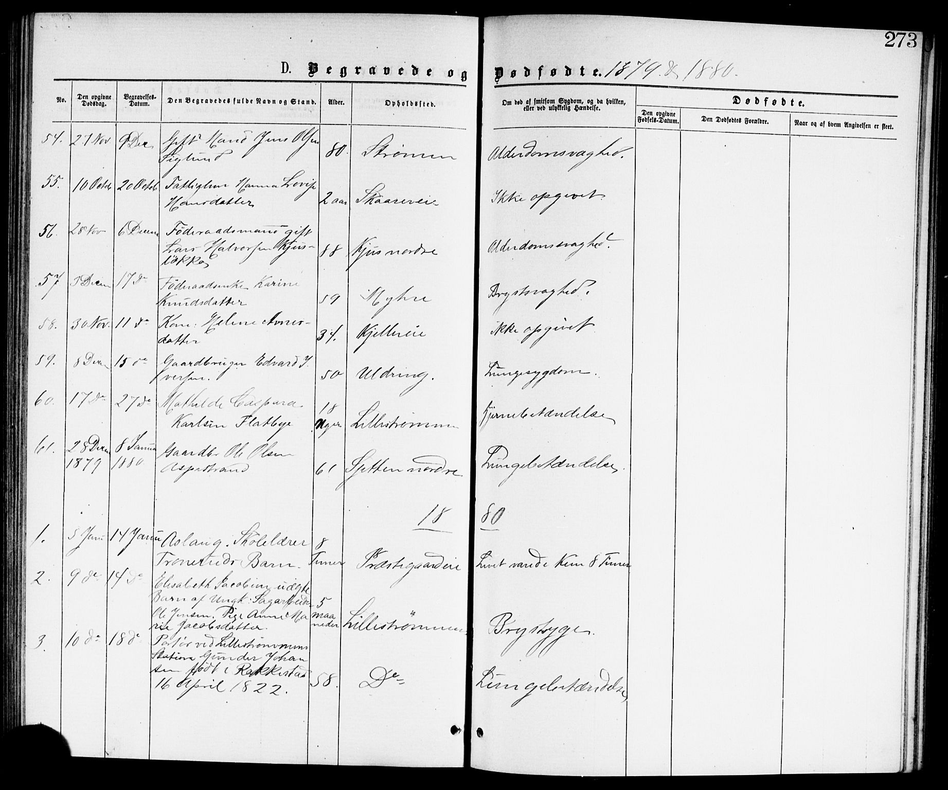 Skedsmo prestekontor Kirkebøker, AV/SAO-A-10033a/G/Ga/L0003: Parish register (copy) no. I 3, 1873-1882, p. 273