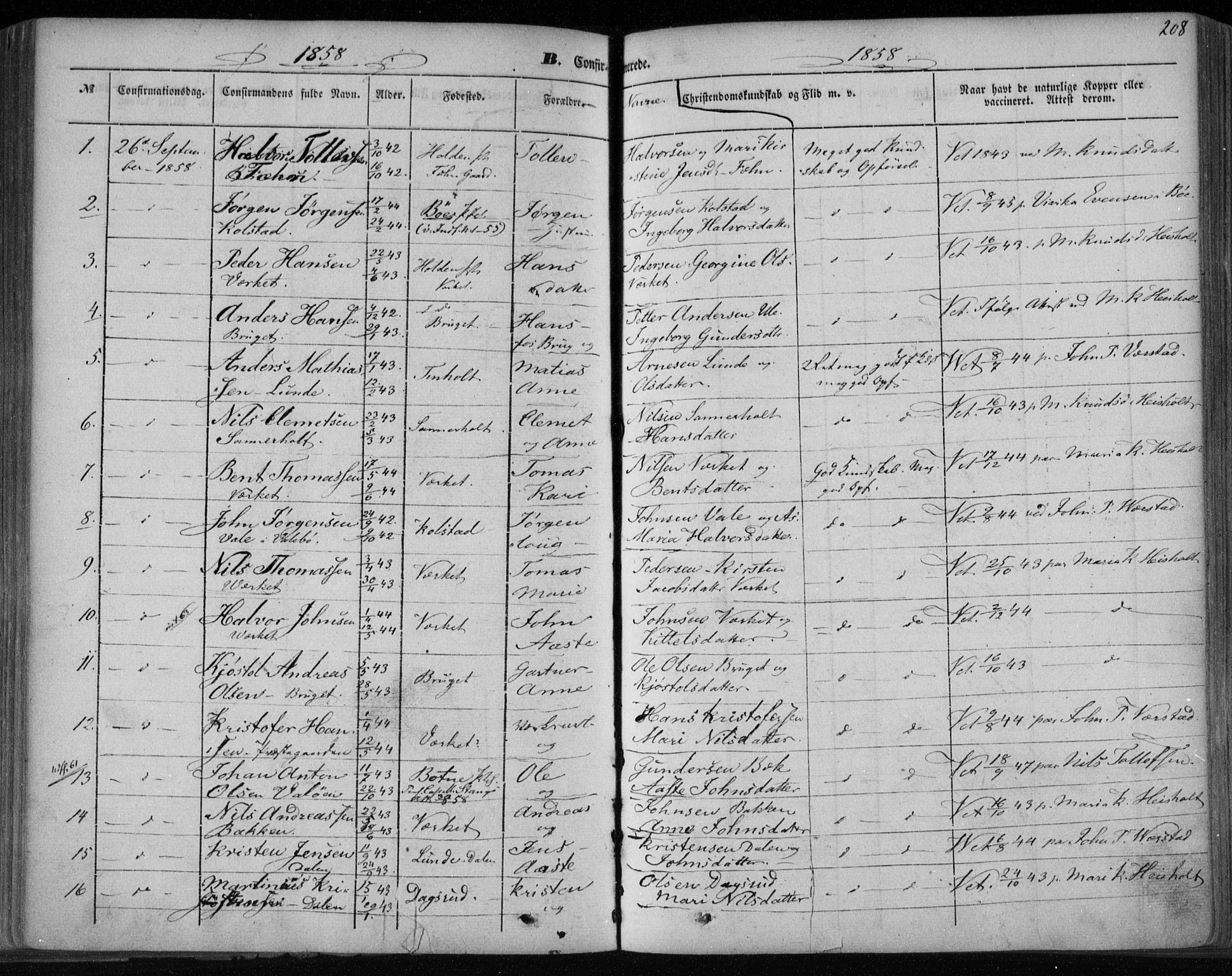 Holla kirkebøker, SAKO/A-272/F/Fa/L0005: Parish register (official) no. 5, 1849-1860, p. 208