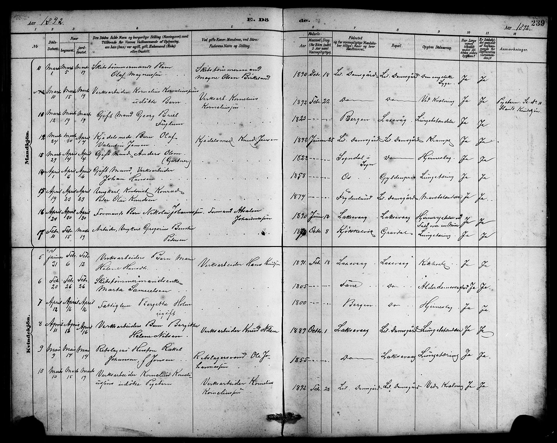 Laksevåg Sokneprestembete, SAB/A-76501/H/Ha/Hab/Haba/L0003: Parish register (copy) no. A 3, 1887-1899, p. 239