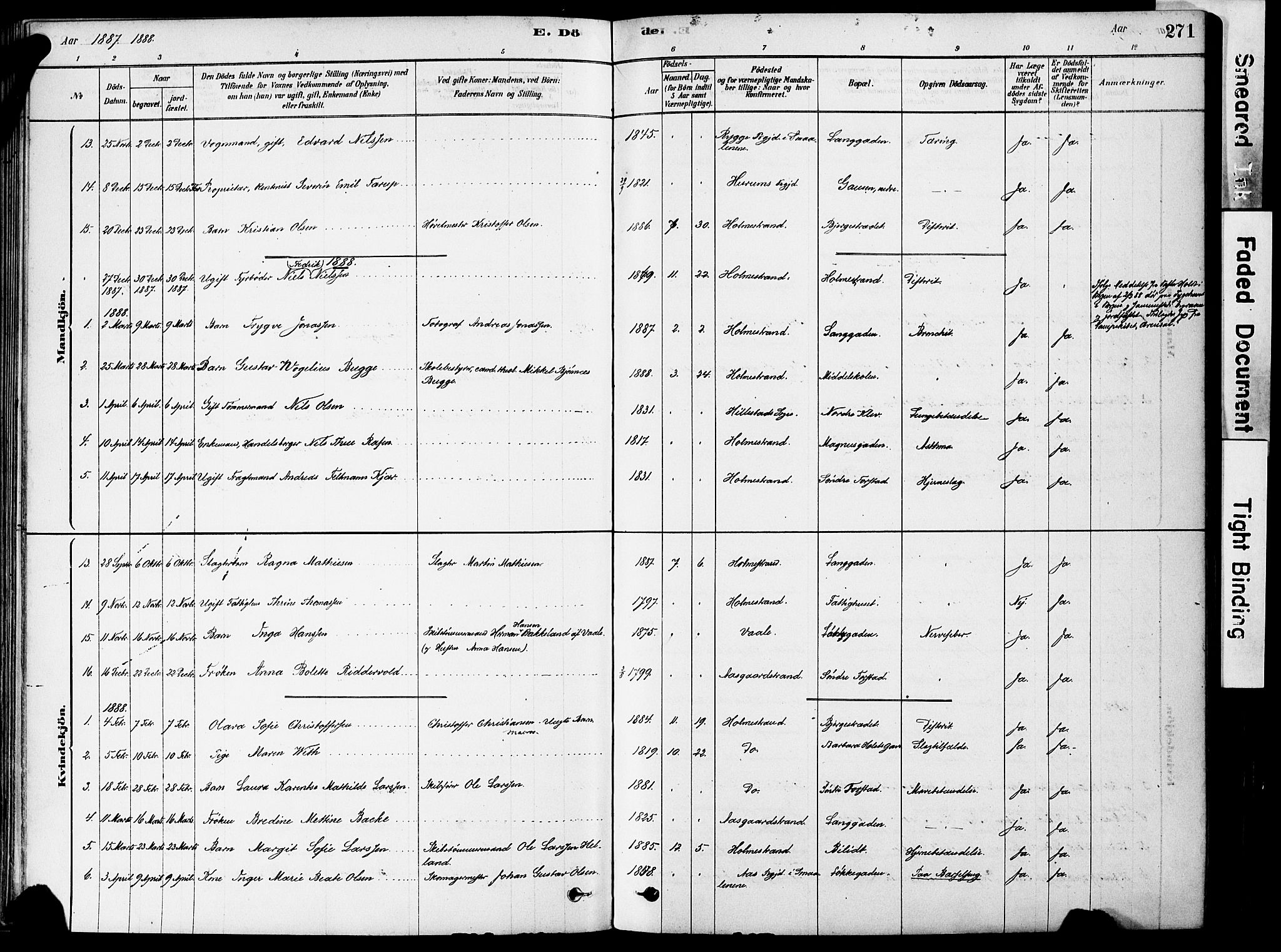 Holmestrand kirkebøker, AV/SAKO-A-346/F/Fa/L0004: Parish register (official) no. 4, 1880-1901, p. 271