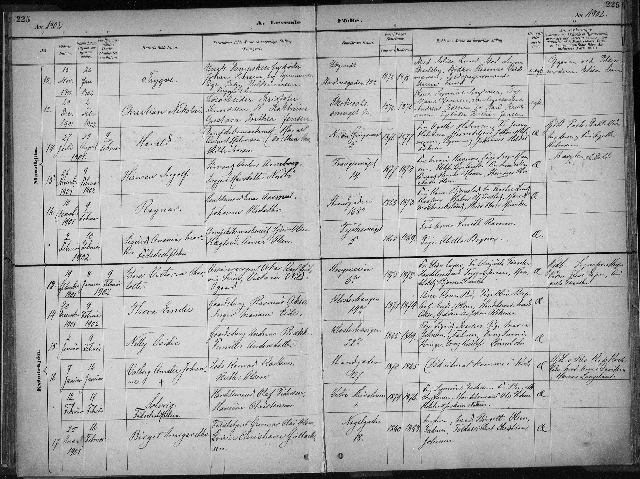 Nykirken Sokneprestembete, AV/SAB-A-77101/H/Haa/L0018: Parish register (official) no. B 6, 1895-1903, p. 225